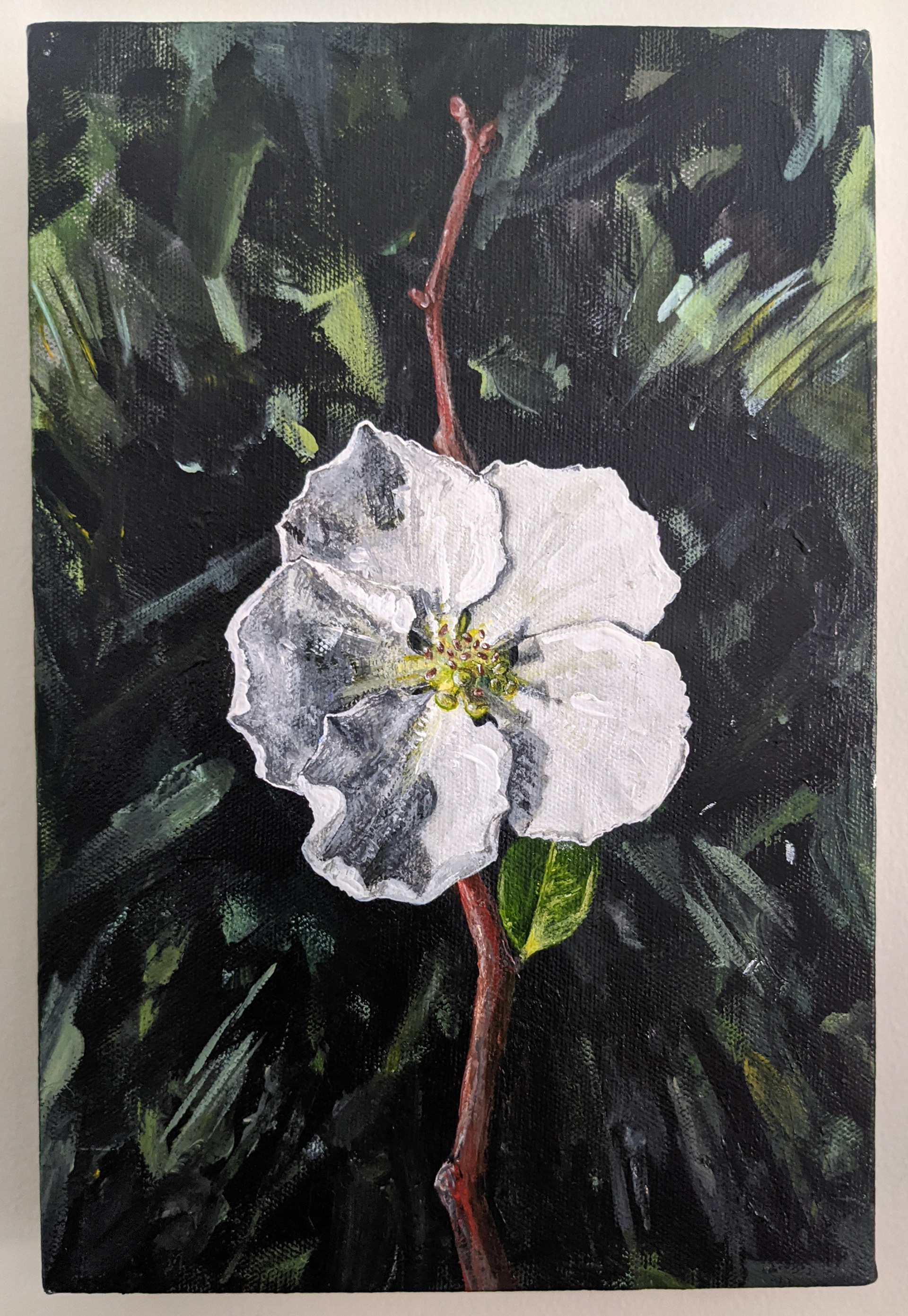 White Flower, 2017; acrylic on canvas
