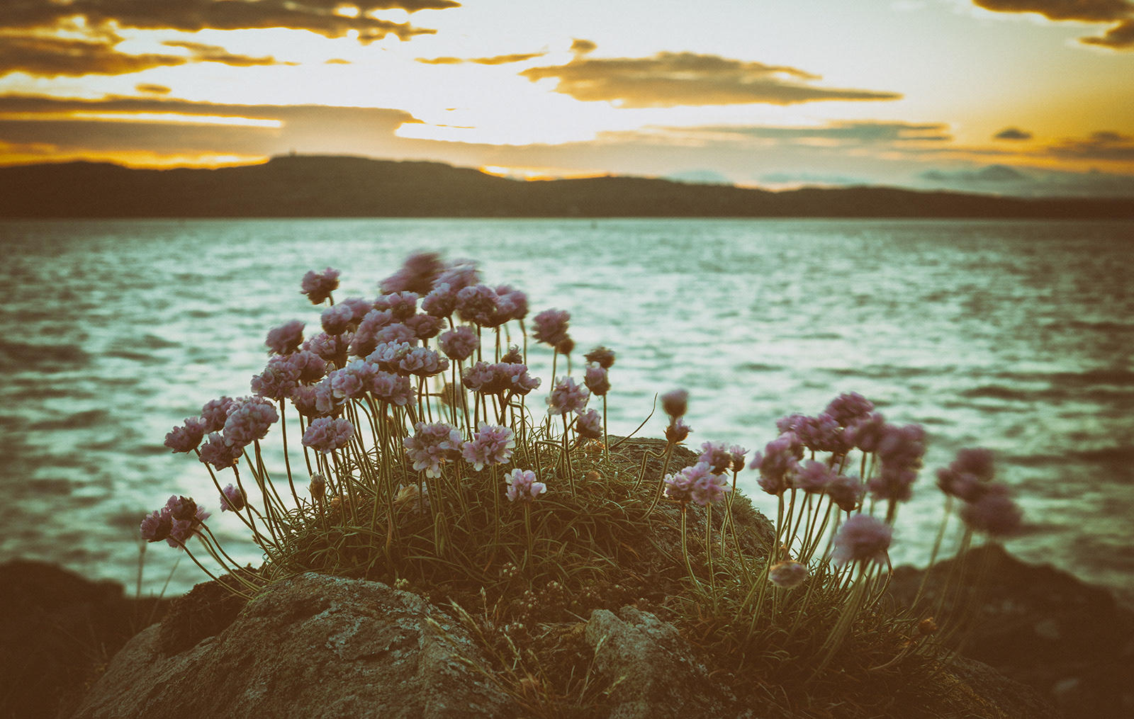 THRIFT