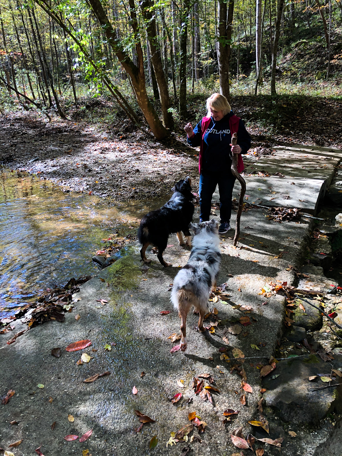 At Cane Creek Canyon