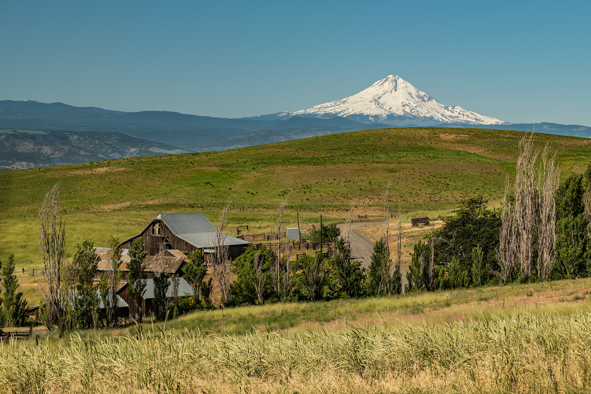 Mt. Hood from the Northeast