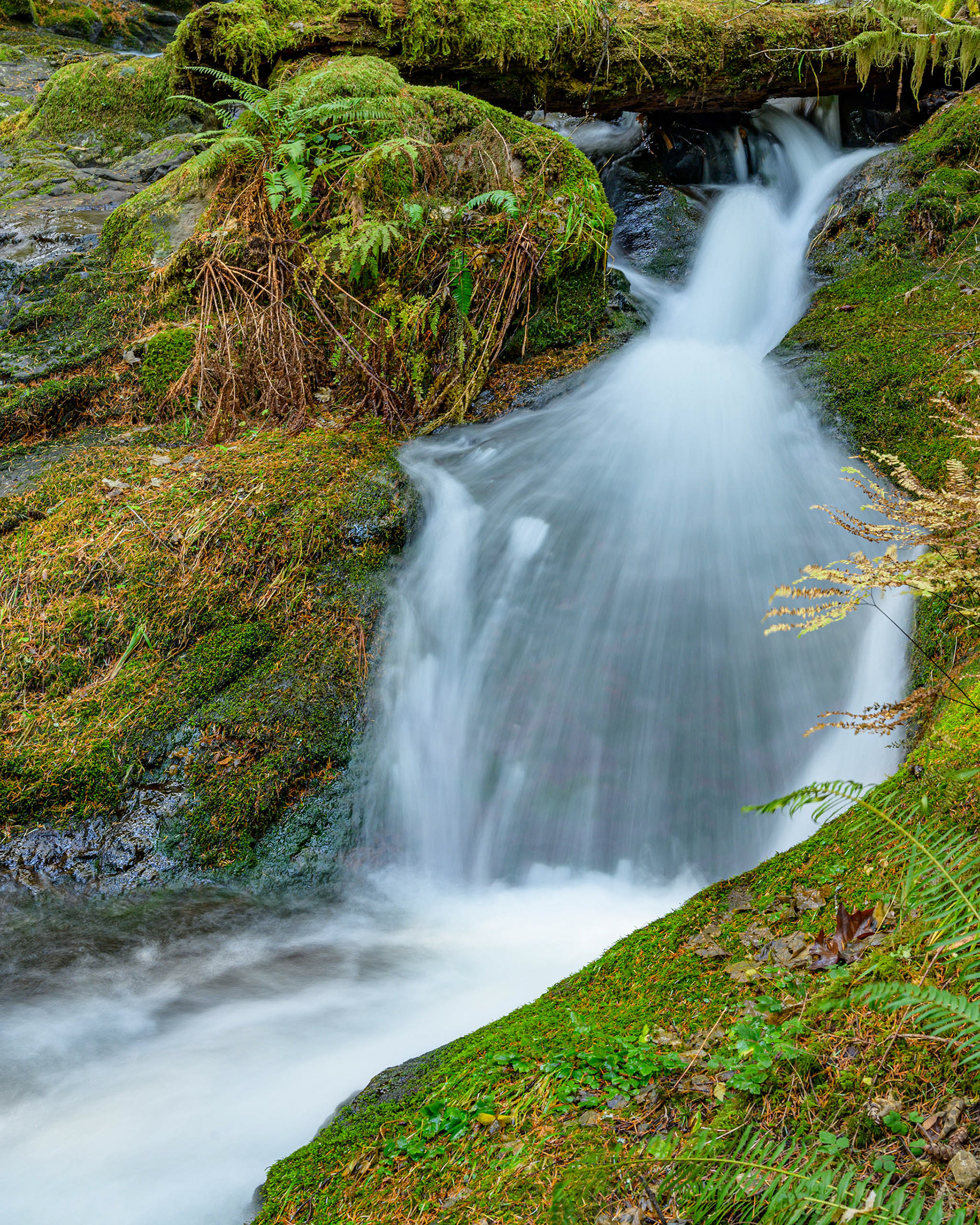 Duncan Creek