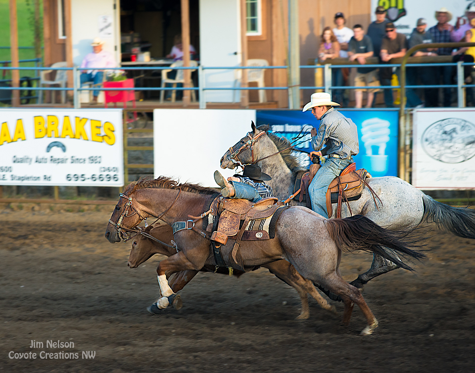 If you don't think we bond to horses, you haven't had one!