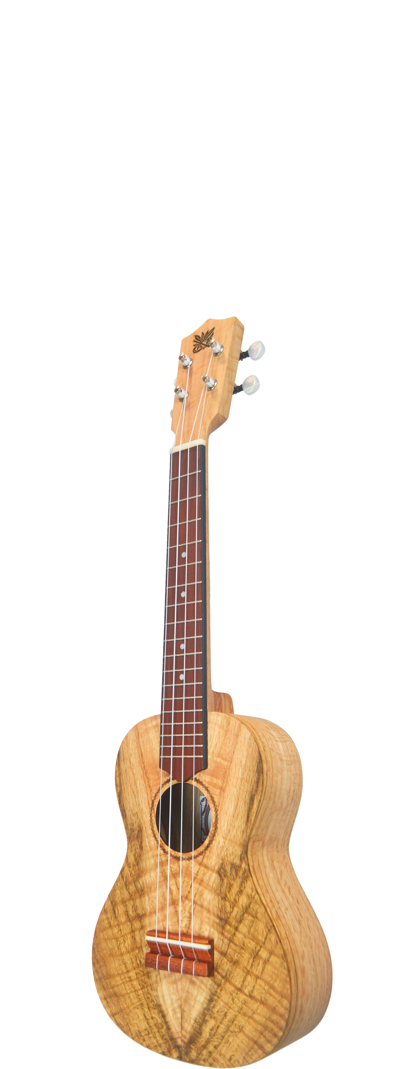 USTD C OAK - Concert size