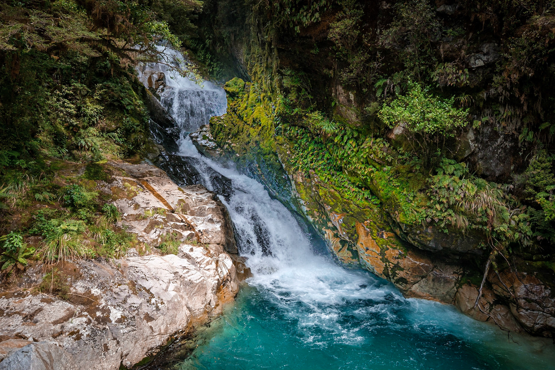 on the way to milford sound