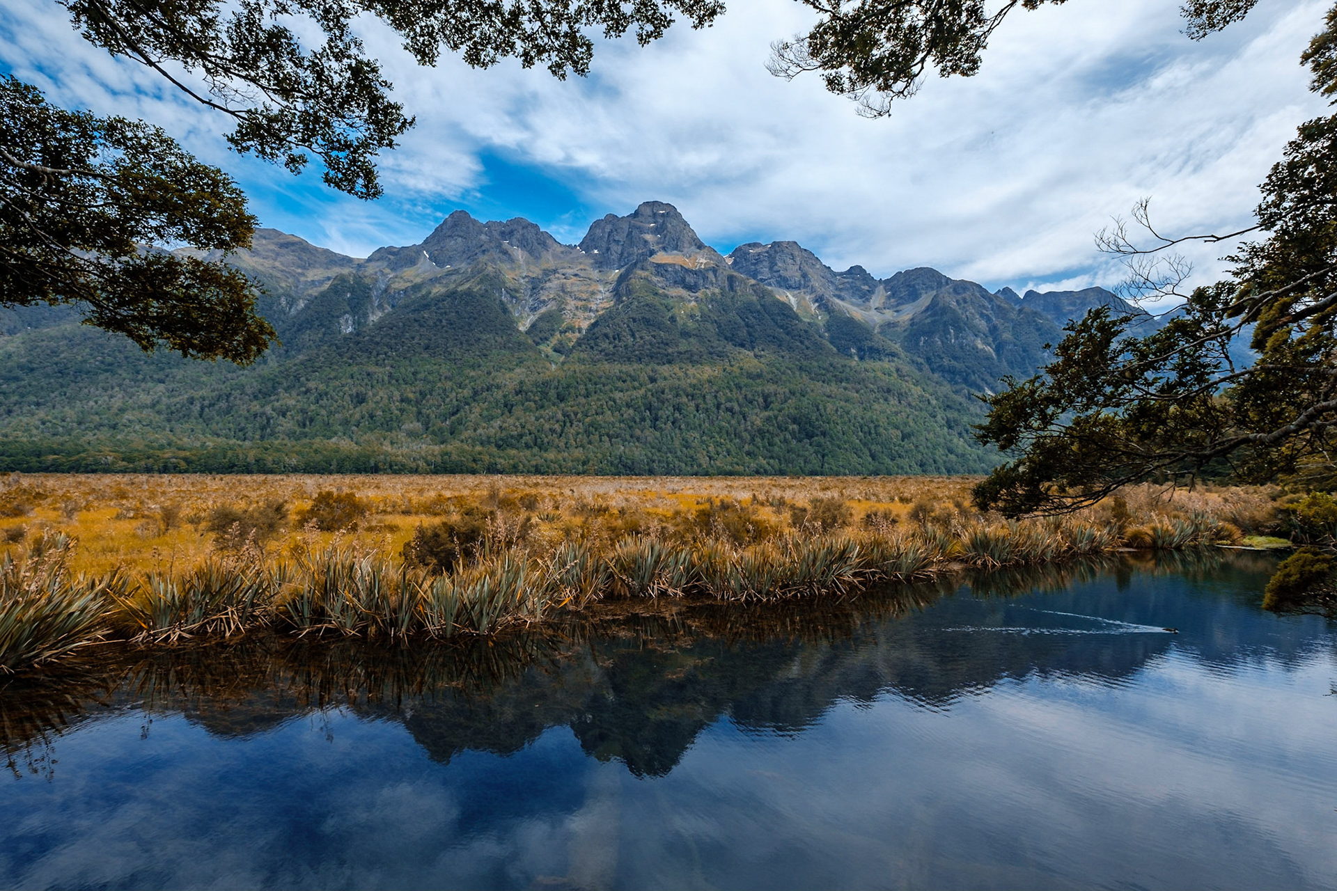 on the way to milford sound