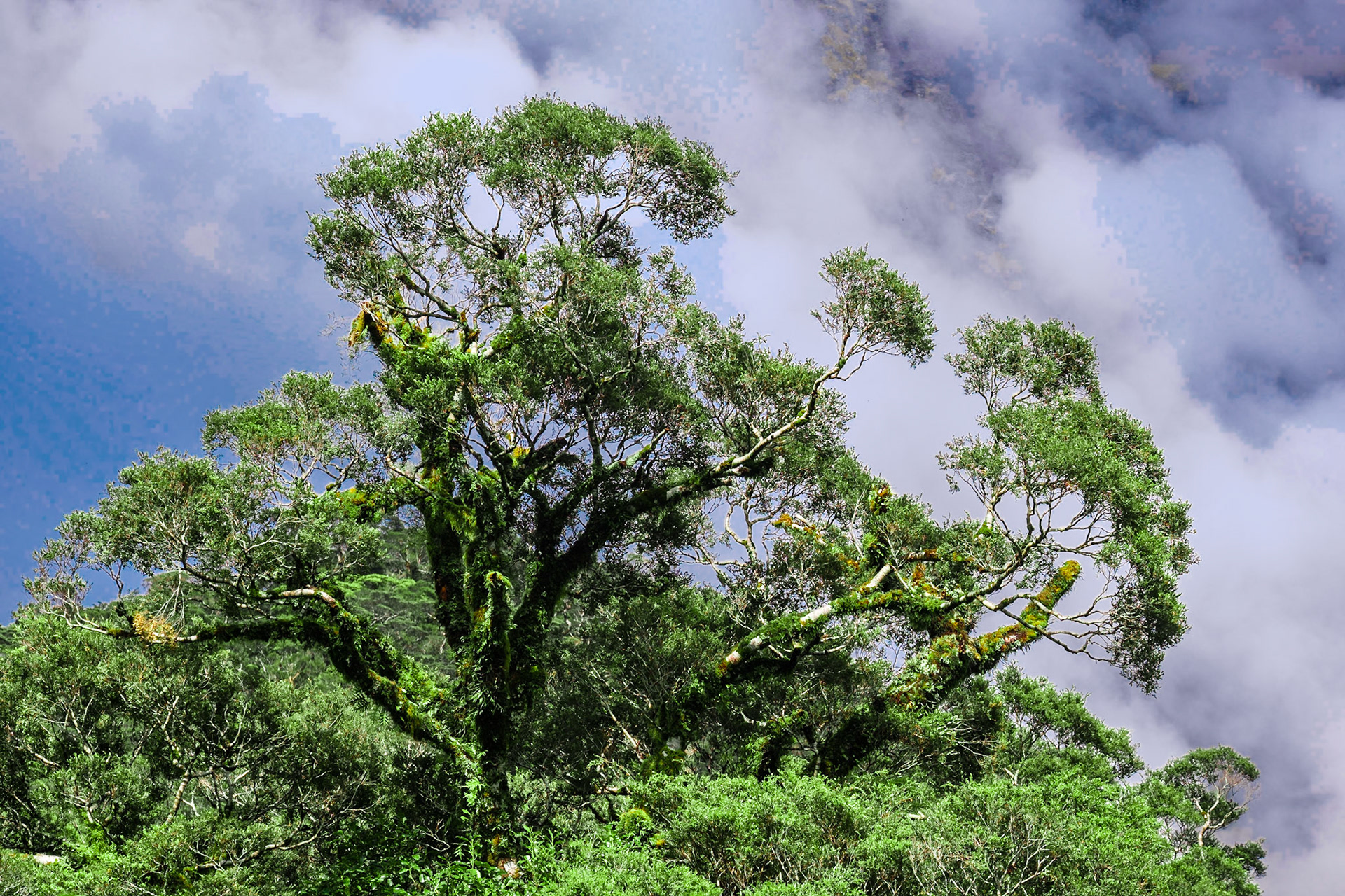 on the way to milford sound