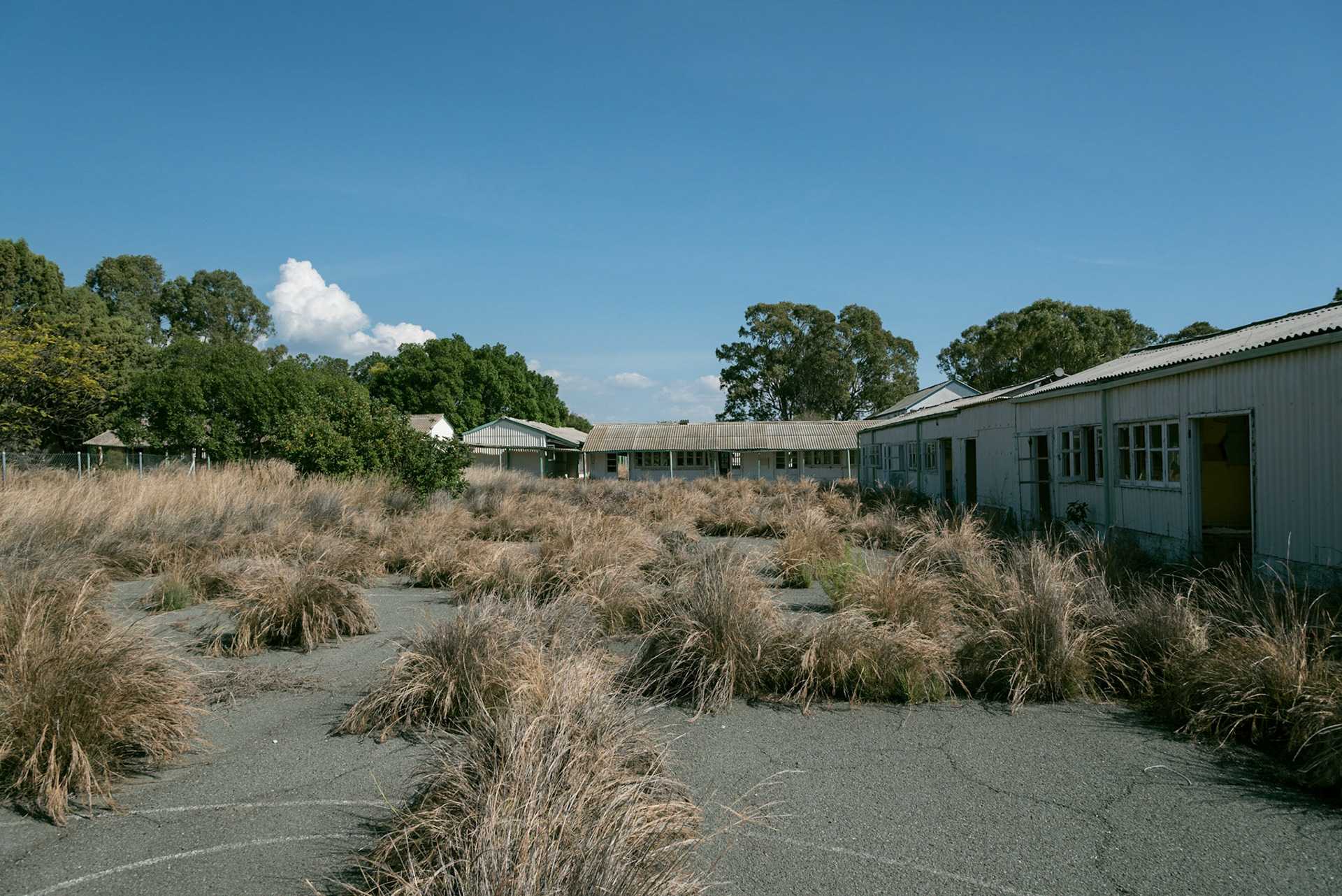 Nature reclaimed the basketball field, near the abandoned classrooms at Berengaria Village in Limassol, Cyprus