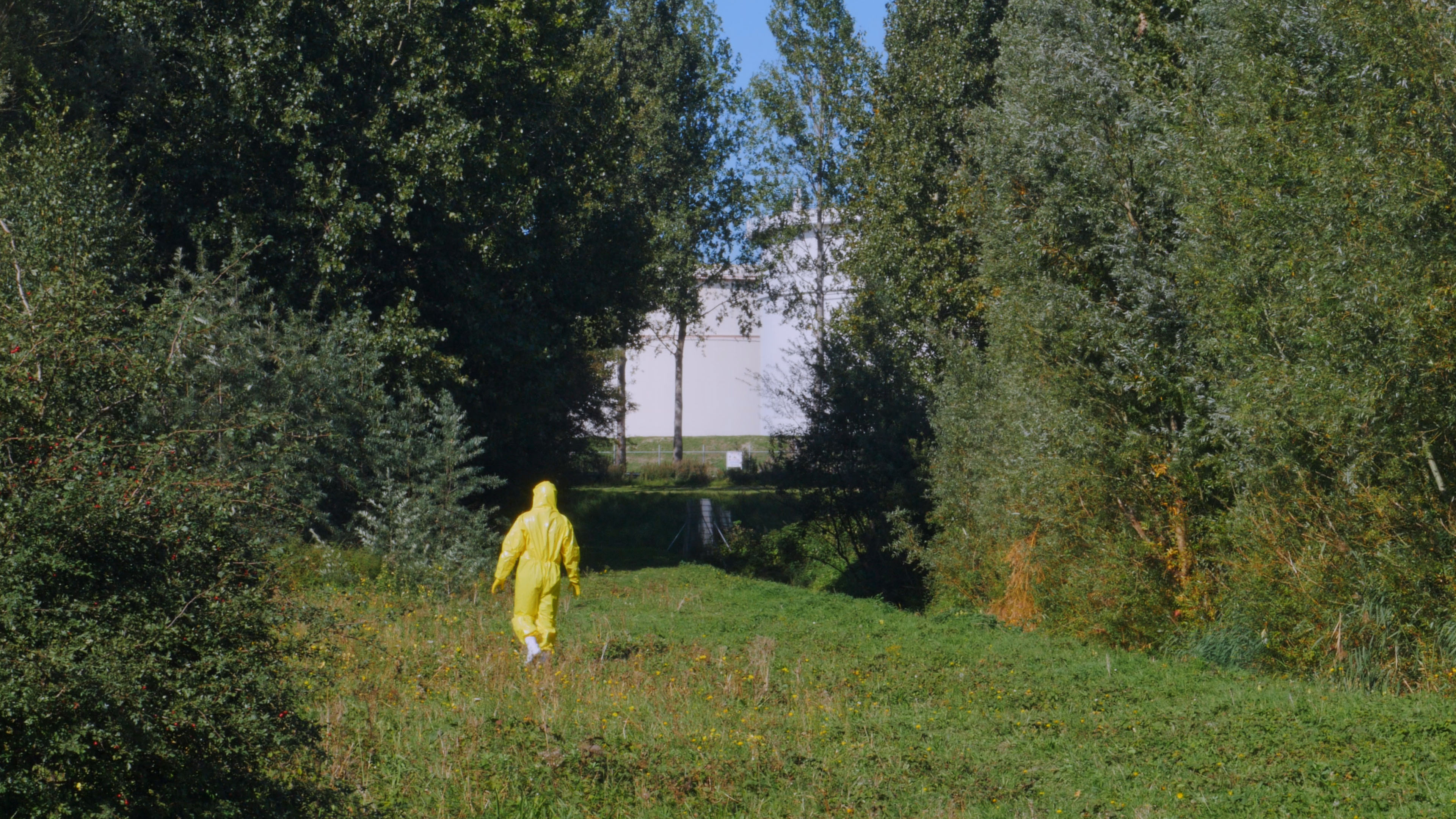 C Stein