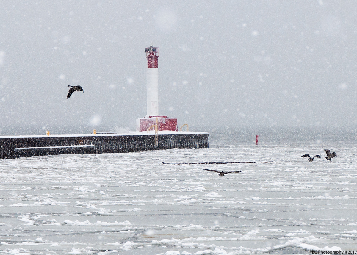 Bill Chomik Photography Winter in Oakville