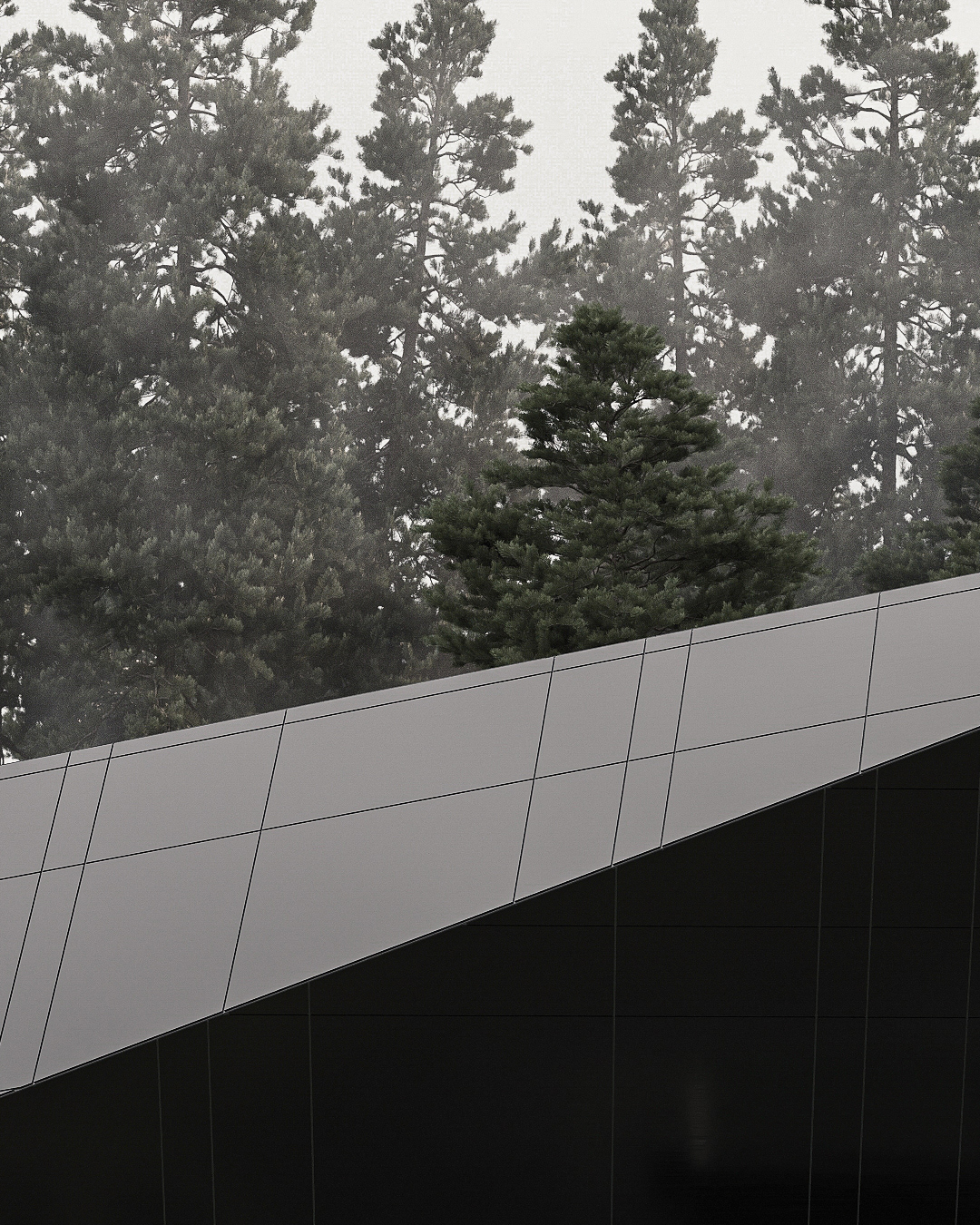 blackbird - exterior of dark side of the house metal facade detail
