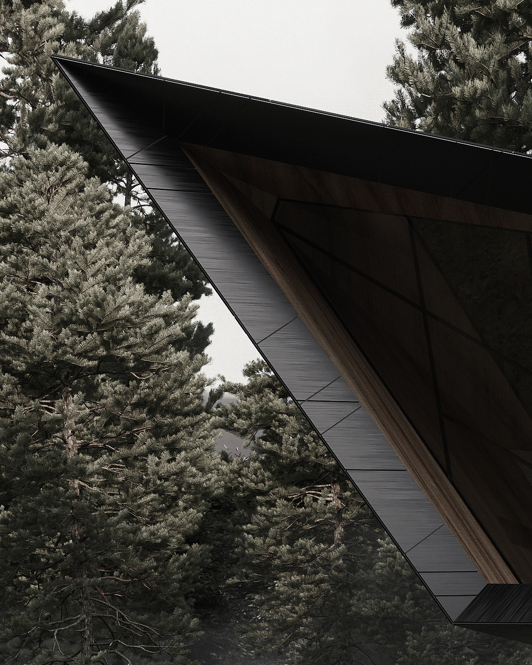 blackbird - exterior of steep metal sheet