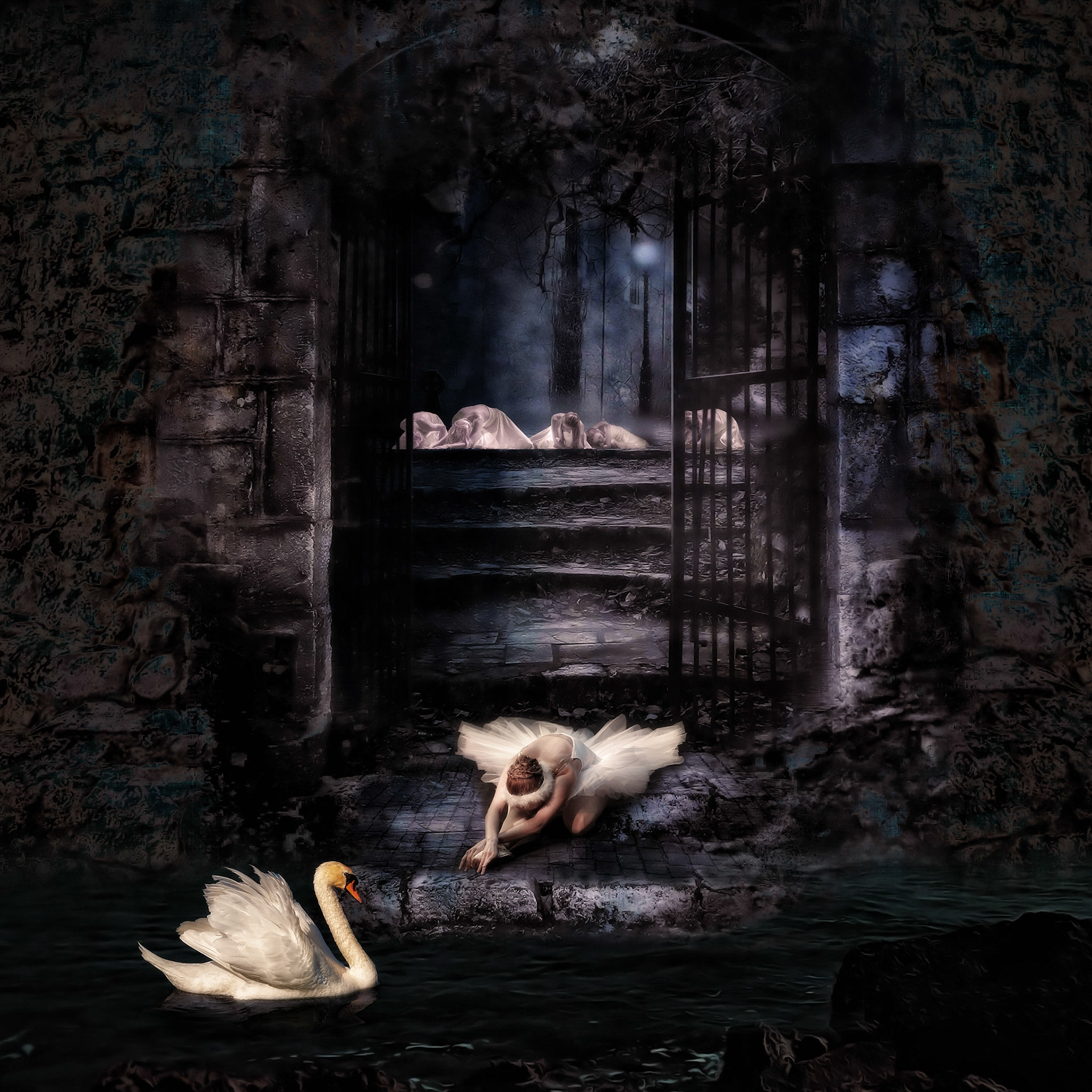 Swan Lake