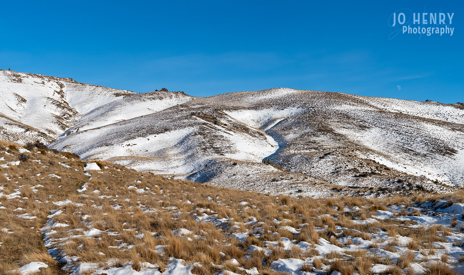 Winter Tussocks on Nevis