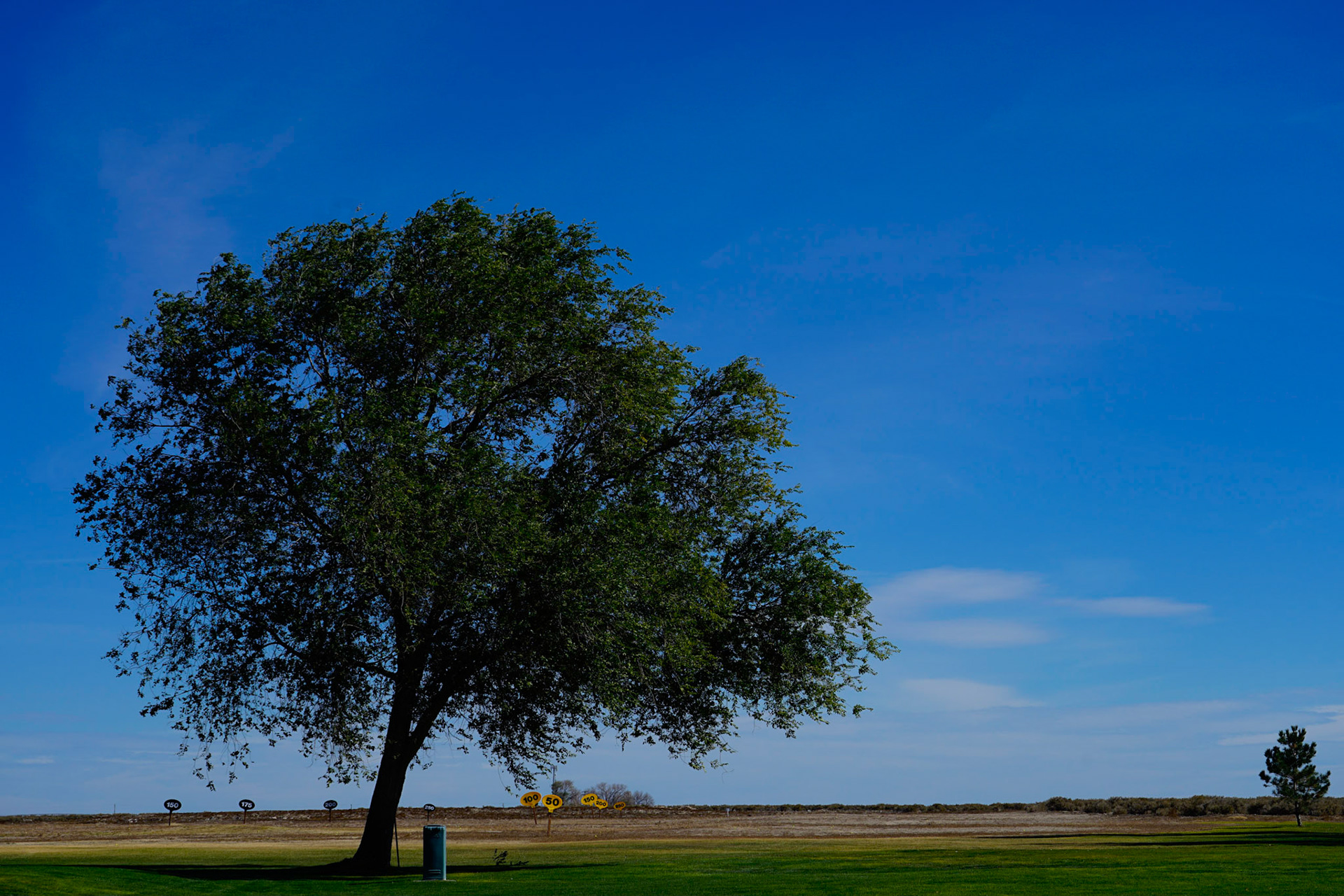 8. Lone Tree, Lone tree leading up to the driving range , 20201020, Silver Sage golf course, Miller, Enjoyed the aftenoon prior to leaving on a work trip and found the serenity of the golf course, JPG, ISO 50 73mmm, f/10, 1/200sec
