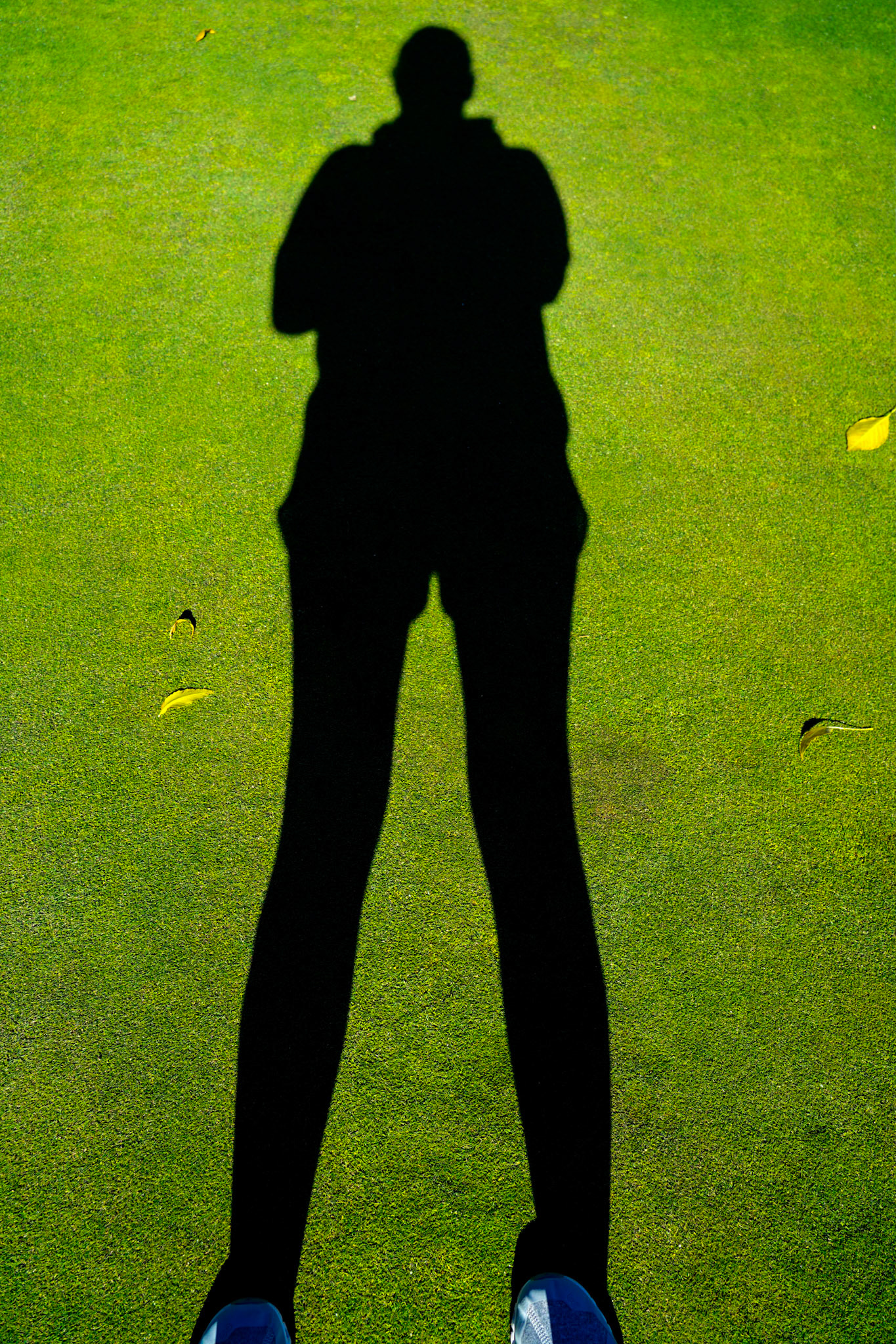 10. Shadow, Catching a fun shadow of myself on the putting green while I finished my set of photographs, 20201020, Silver Sage golf course, Miller, Enjoyed the aftenoon prior to leaving on a work trip and found the serenity of the golf course. JPG, ISO 50m 24mm, f/5, 1/160sec