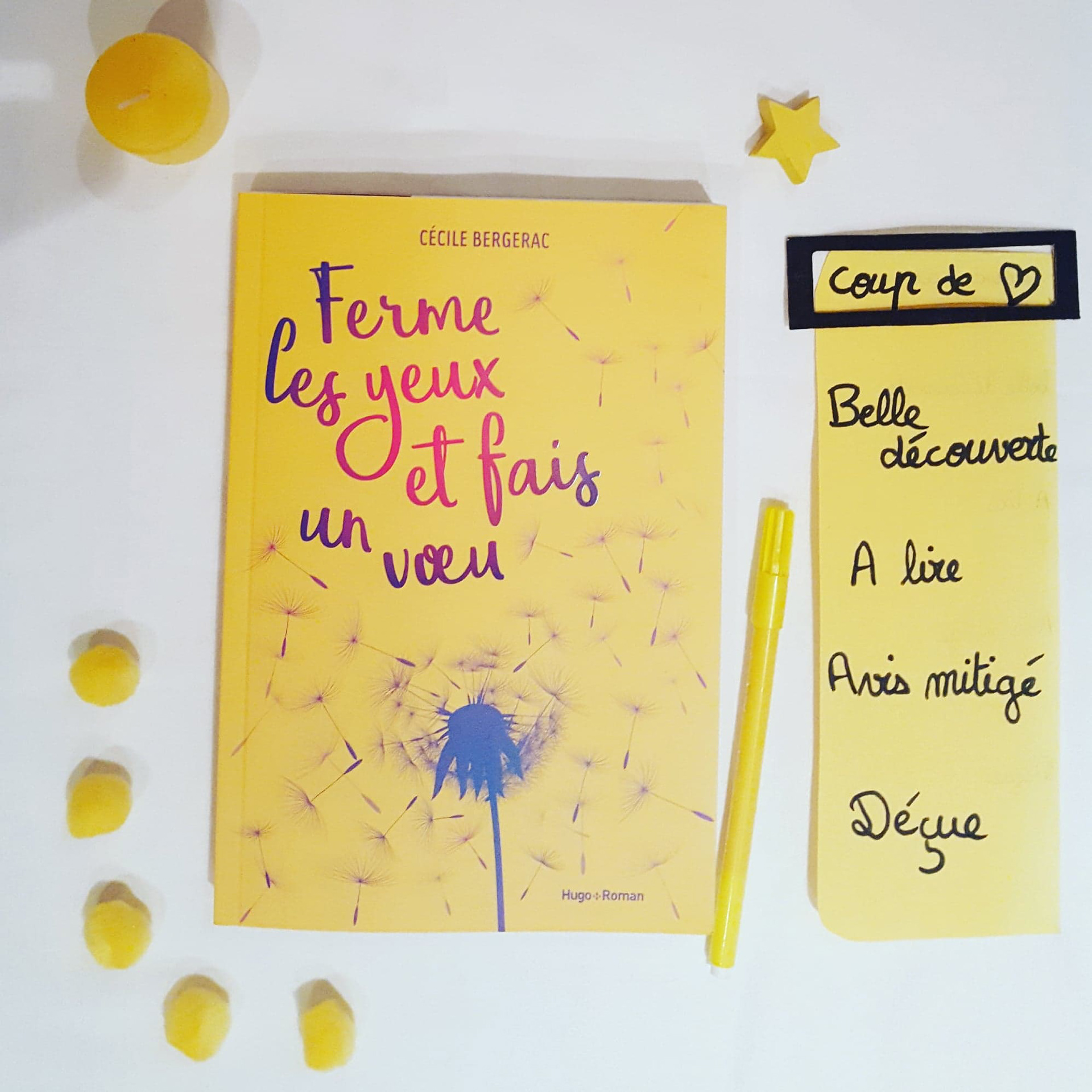 Ce livre est tombé entre mes mains au moment parfait. Une journée d'attente dans un aéroport, ça peut paraitre long, mais grâce à ce joli petit roman, je me suis détendue et n'ai pas pu décrocher. D'autant plus qu'on s'immerge dès la 1ère page dans le feu de l'action, nous n'avons pas le temps de nous imprégner des personnes que déjà le bouleversement survient, et ça c'est vraiment intense. Cela donne une entrée dans le livre fracassante. Cecile Bergerac nous envoie du positivisme, de l'espoir, de l'amour, de l'humour, des sentiments puissance 10. Sarah (drôle de coincidence) se retrouve confrontée à ses choix de vie, face à l'accident de son petit frère. On y suit son évolution, ses pensées, et on s'accroche follement à son assurance. L'auteur signe un feel-good comme je les aime. En ce qui concerne la composition du livre, les chapitres sont courts, la couverture est magnifique et je vous garantis qu'en terminant ce récit, vous allez vous précipiter en cuisine tester les cookies chocolats-cannelles.