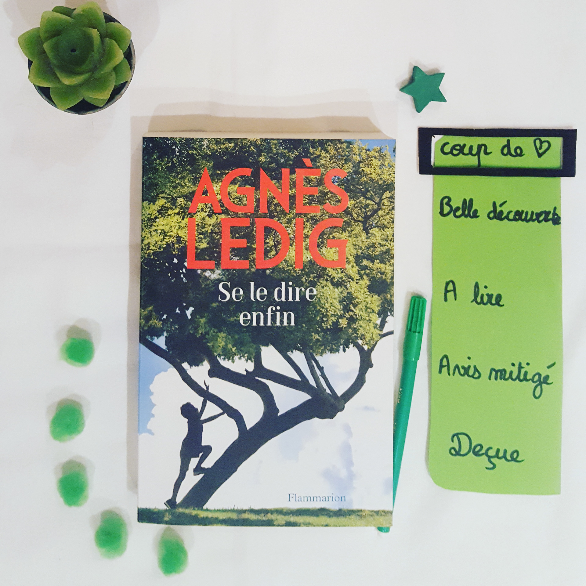 Agnès Ledig est devenue, au fil de mes lectures, une valeur sûre. Je souhaitais acheter son dernier roman dédicacé au printemps du livre de Montaigu mais étant annulé, je n'ai pas pu résister à l'envie en voyant ce merveilleux livre sous mon nez dans les publications instagram. Juste acheté et aussitôt devoré. Agnès Ledig a ce don rare de décrire les sentiments humains avec justesse. Elle dresse un tableau touchant des hommes et des femmes, de leur tourments. Elle fait ressortir le meilleur en eux, et nous prouve que nous avons tous une générosité cachée et une sensibilité ardente. Ce roman est tout aussi poignant que ses précédents, même si j'avoue avoir un faible pour ses 2 premiers romans. Ici, nous suivons le destin de plusieurs personnages, de tout âge, avec des passés différents. Leur rencontre sonne le glas des changements, ensemble ils vont reapprendre à se faire confiance, à se livrer, à surmonter les batailles. Comme toujours, lorsque je referme le bouquin, je me sens rassénérée et j'ai une envie folle d'aller me perdre dans la forêt de Brocéliande, avec Platon et Viviane 🐱🐢. Et vous, est-ce qu'il y a des auteurs qui ne vous déçoivent jamais ?
