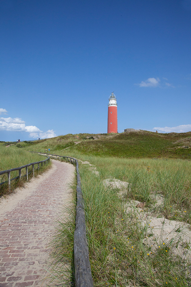 WZ 052 | random image Texel