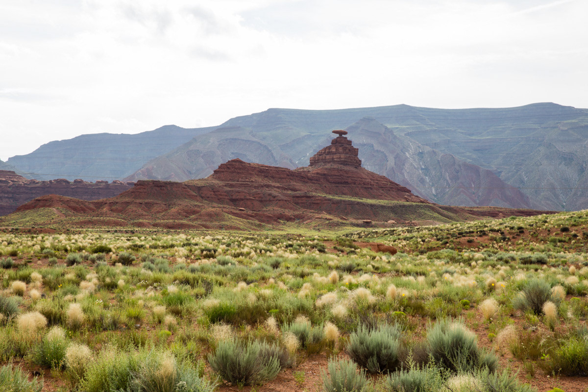 Mexican Hat