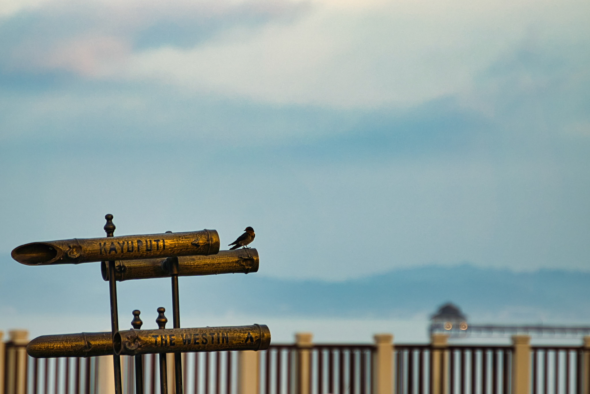 gazing - Langkawi@2019