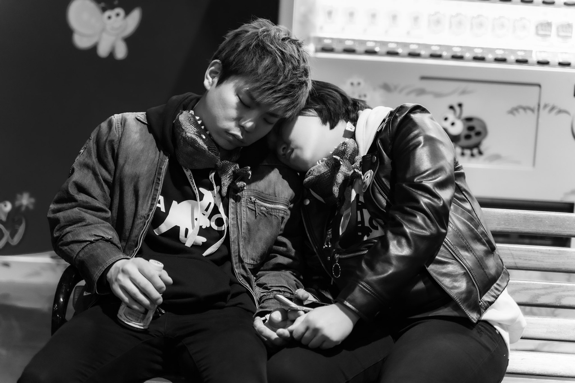 love birds - Japan@2019