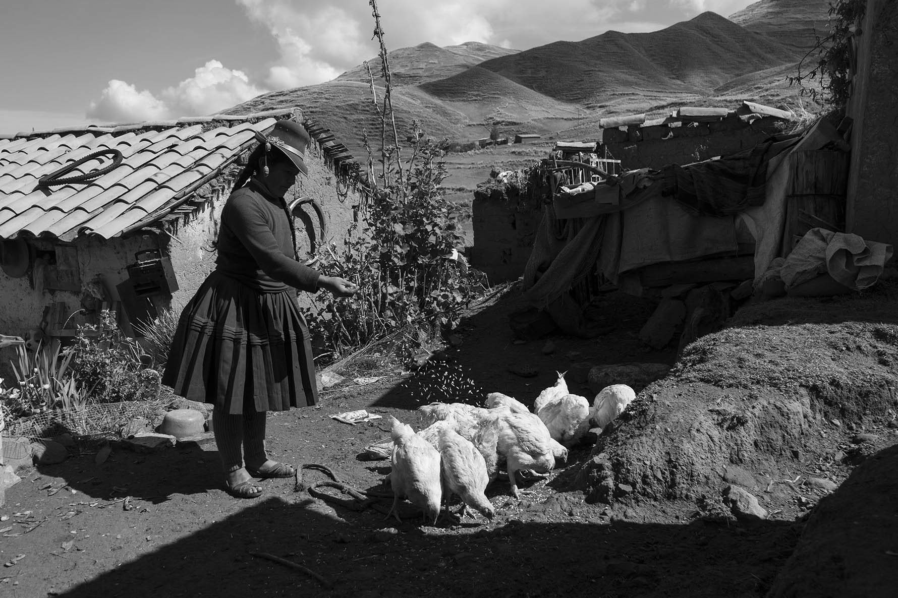 Eulogia lives in the Layme community, Yanaoca district, in Cusco. Every day, he takes care of his chickens and guinea pigs, and sows potatoes and barley on her little farm.