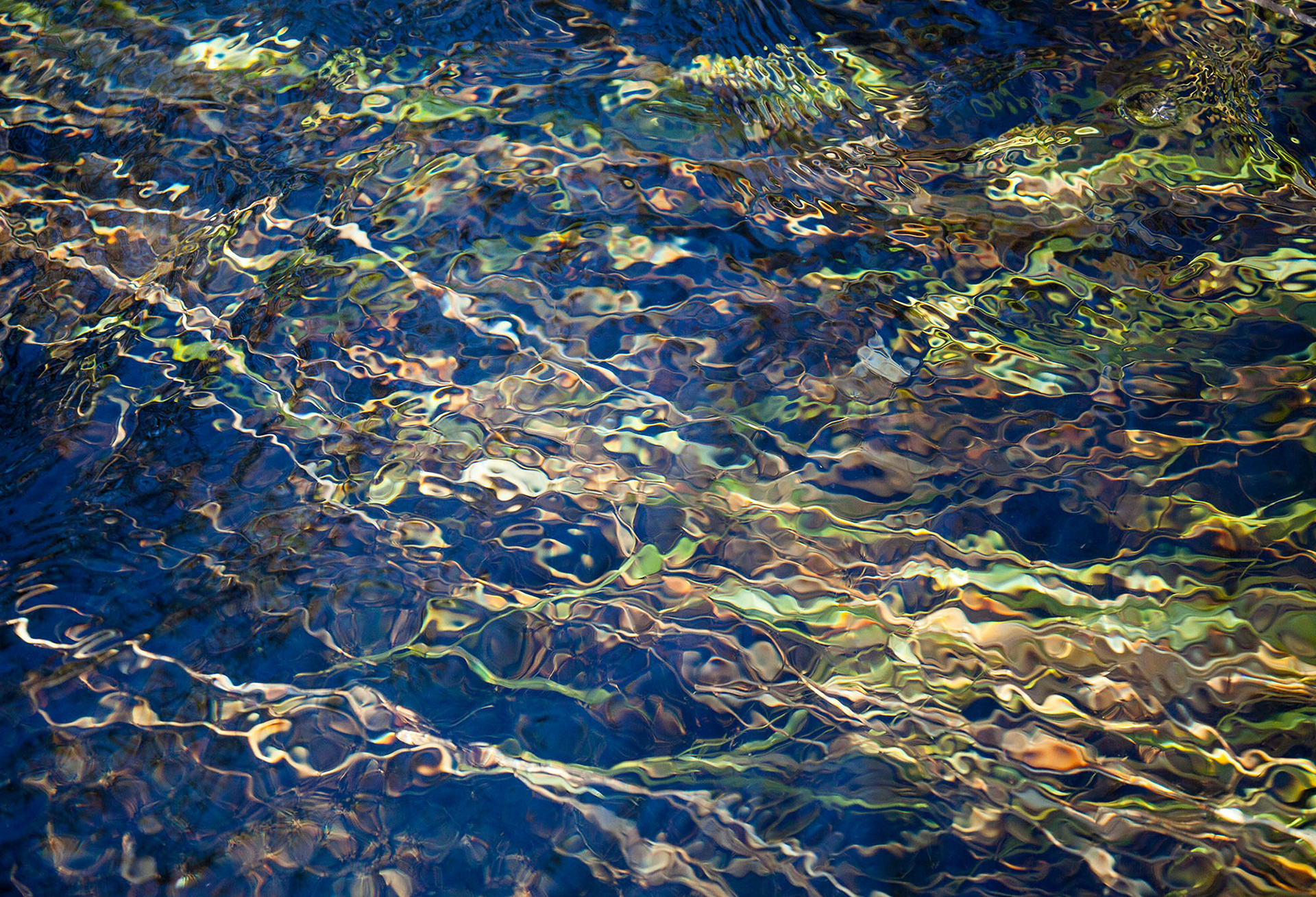 Immersion #1, 30" x 44", edition of 10, $1100