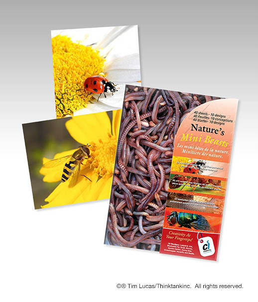 Nature's textures paper craft packs - design & Imaging