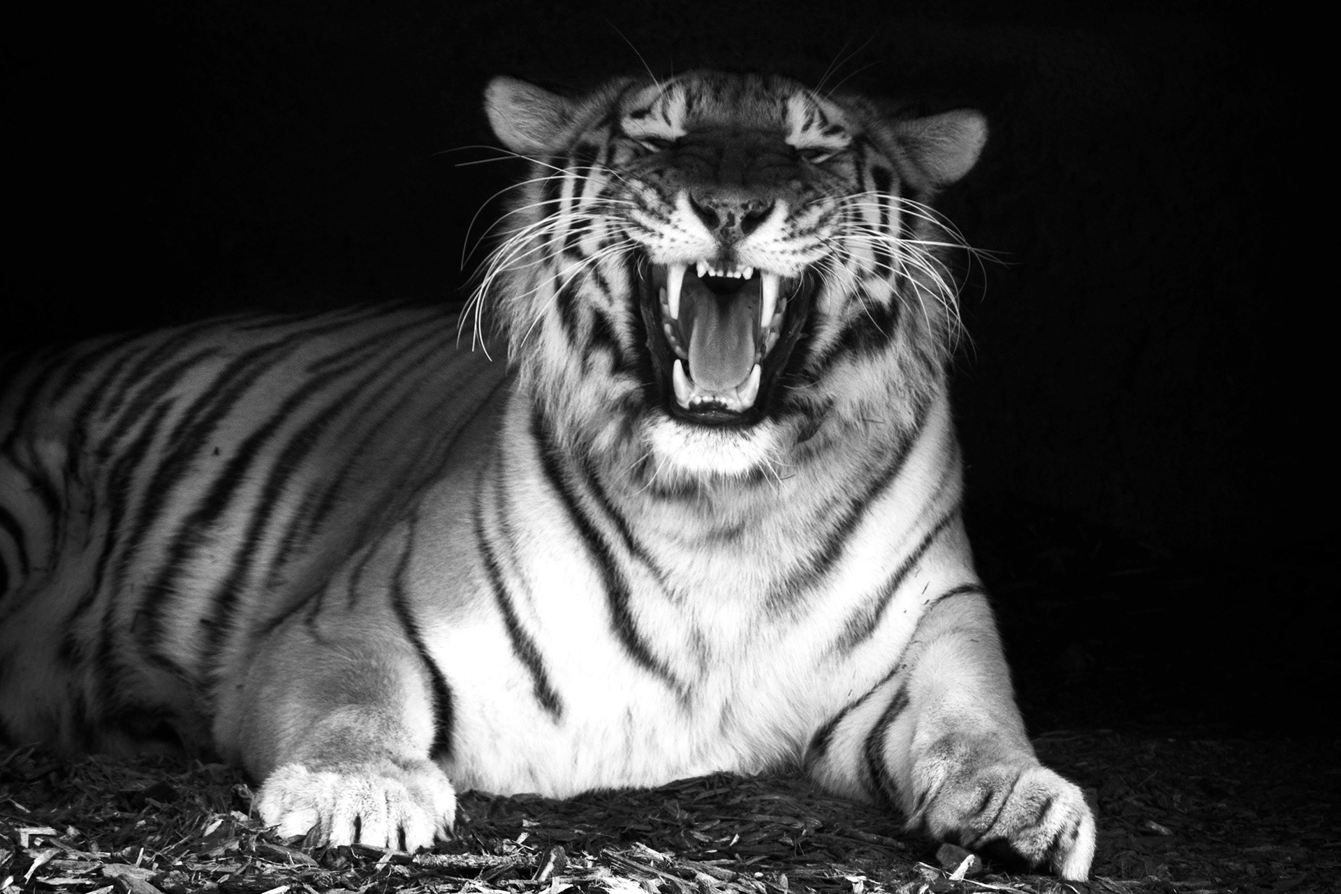 Detroit Zoo