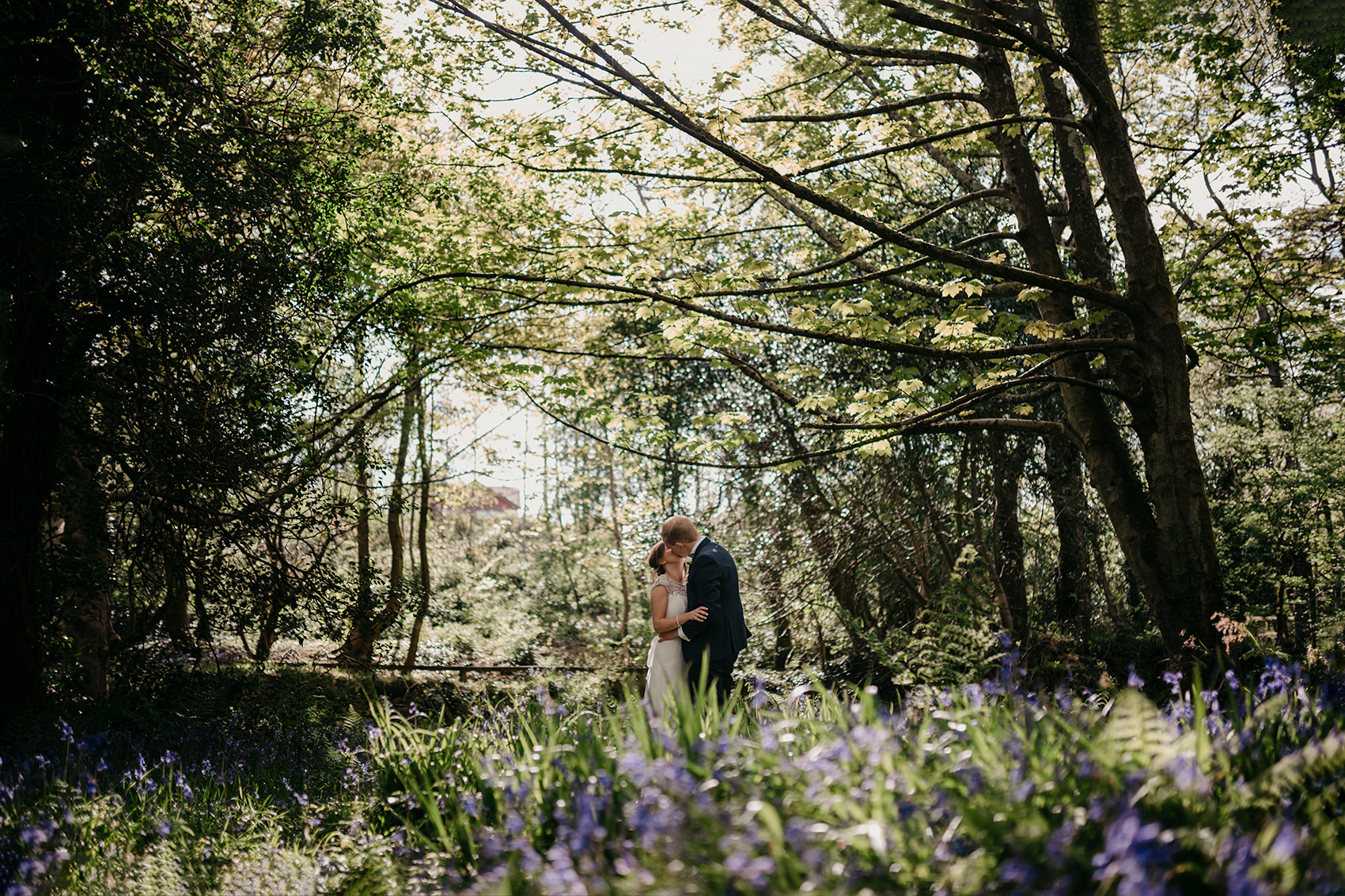 Bluebells look lovely in spring