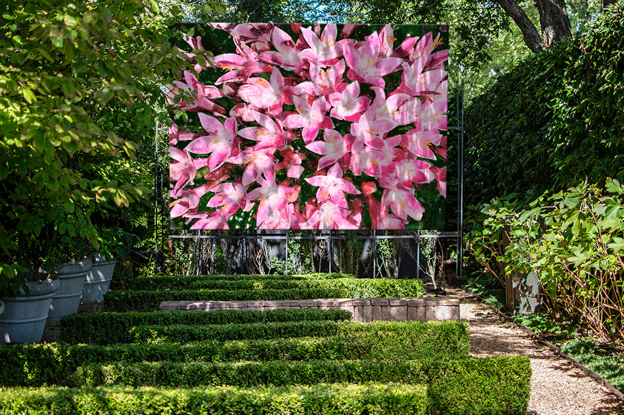 Pink Pentas, by Illustrator: Ben GIlliand