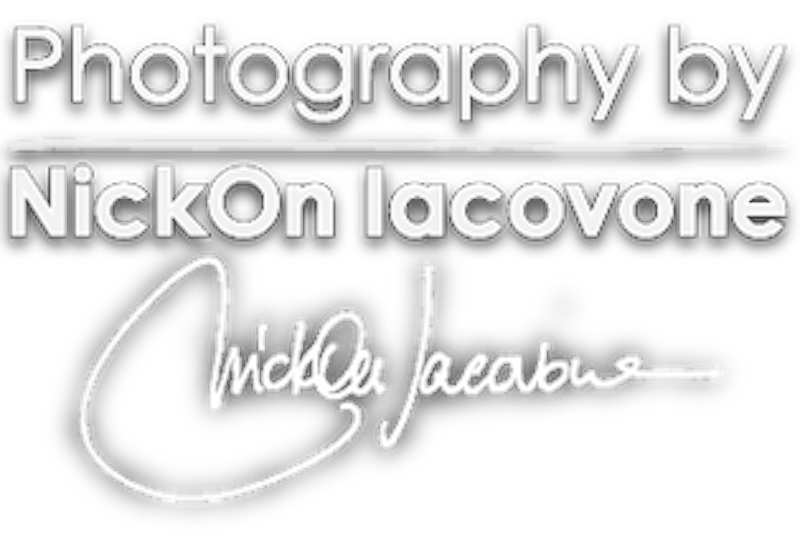Nicola Iacovone