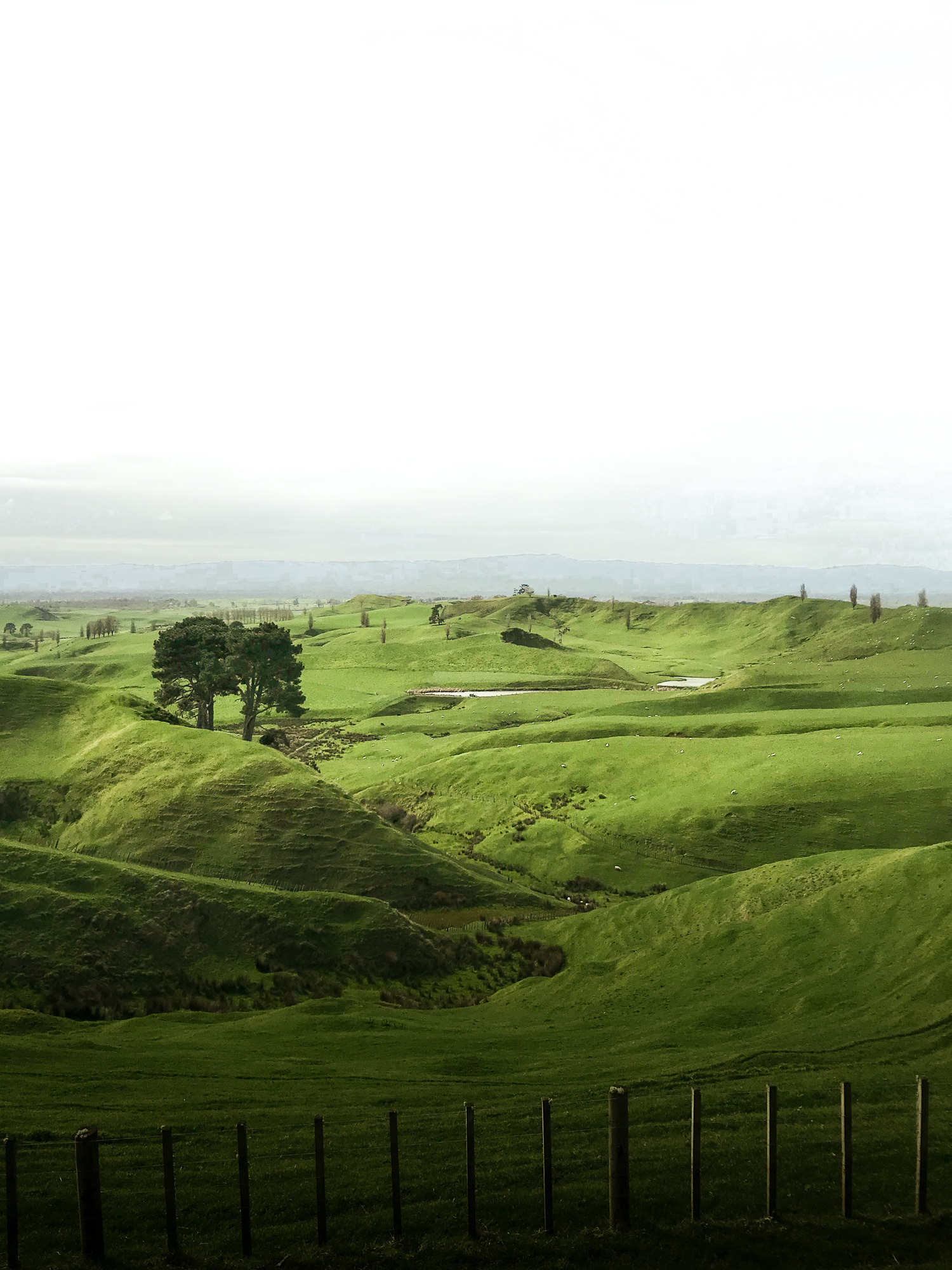 Hobbiton