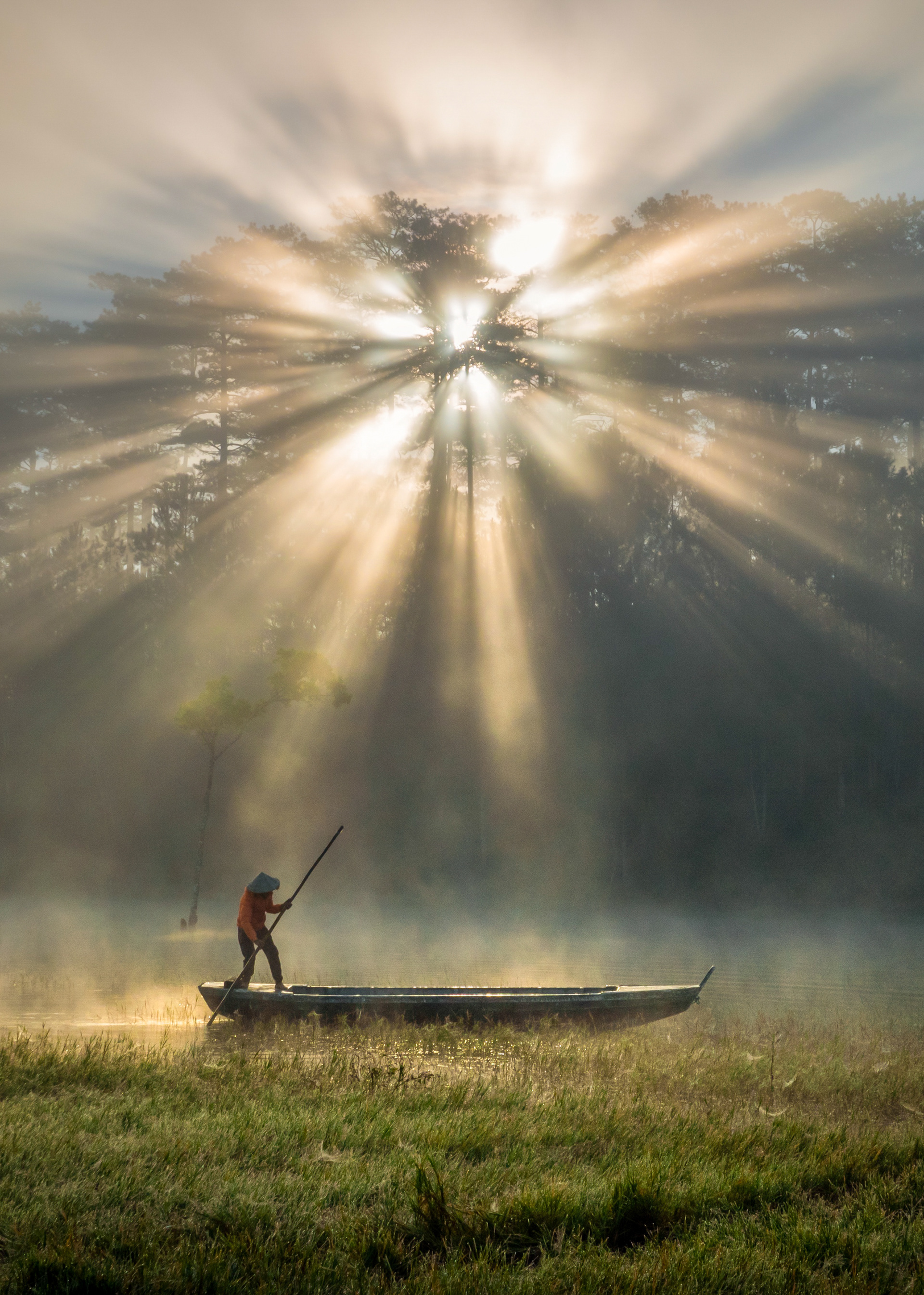 Agora Hero - Light 2020