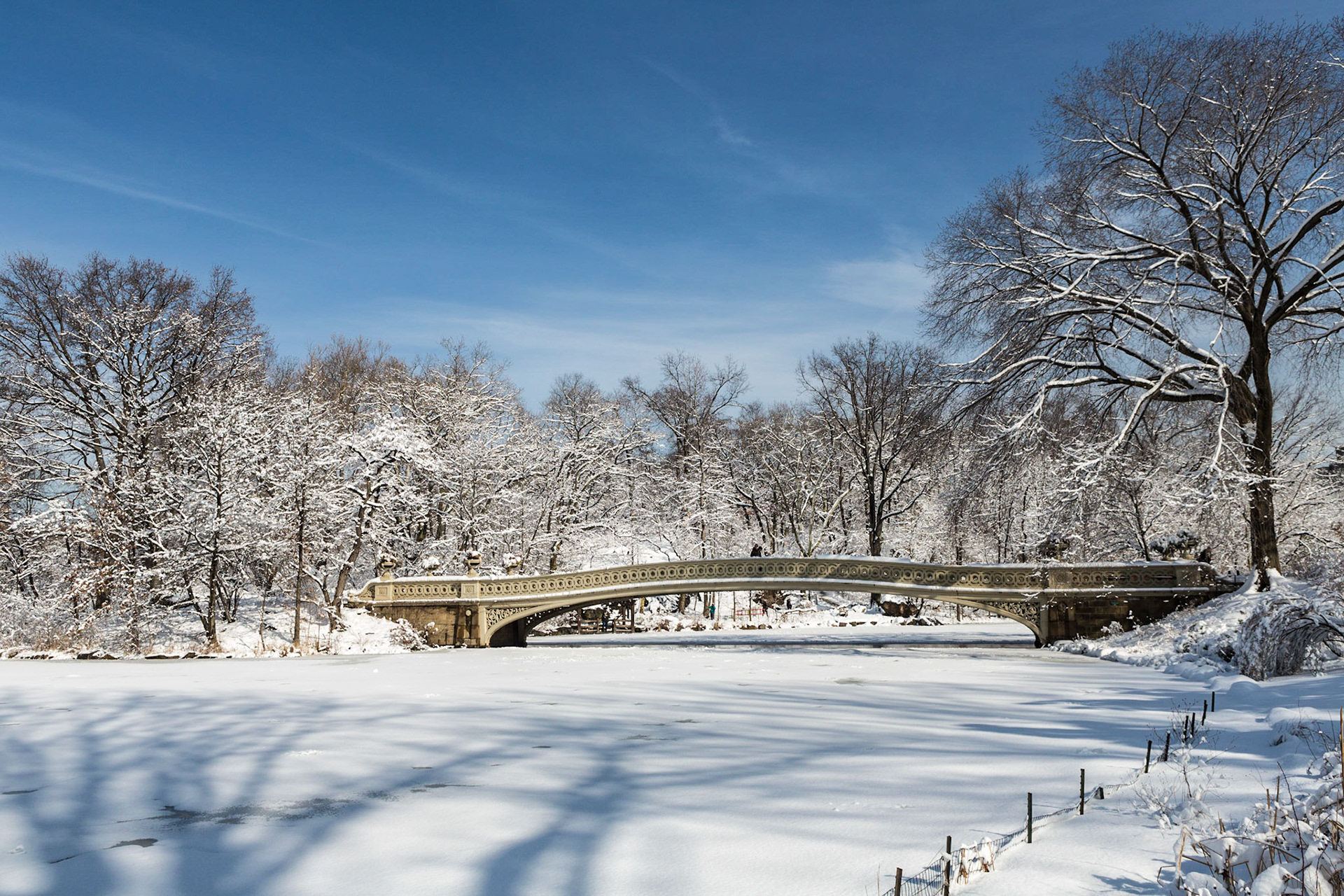 Central Park after a snowstorm in January 2014