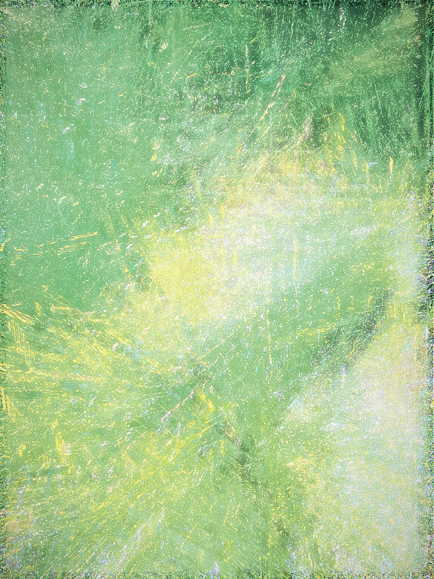 Fakahatchee Grass