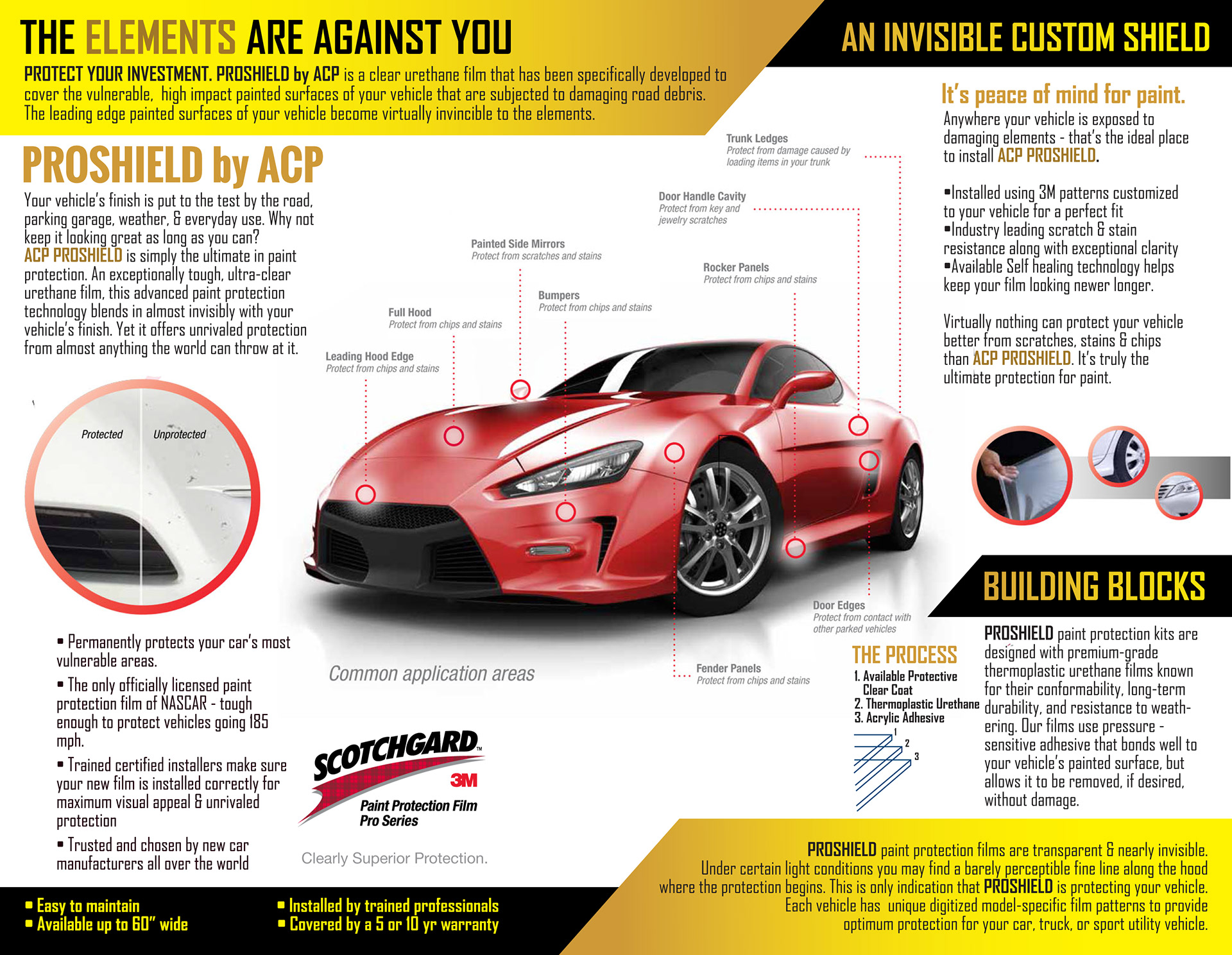 Mike Hsueh Portfolio Acp Paint Protection