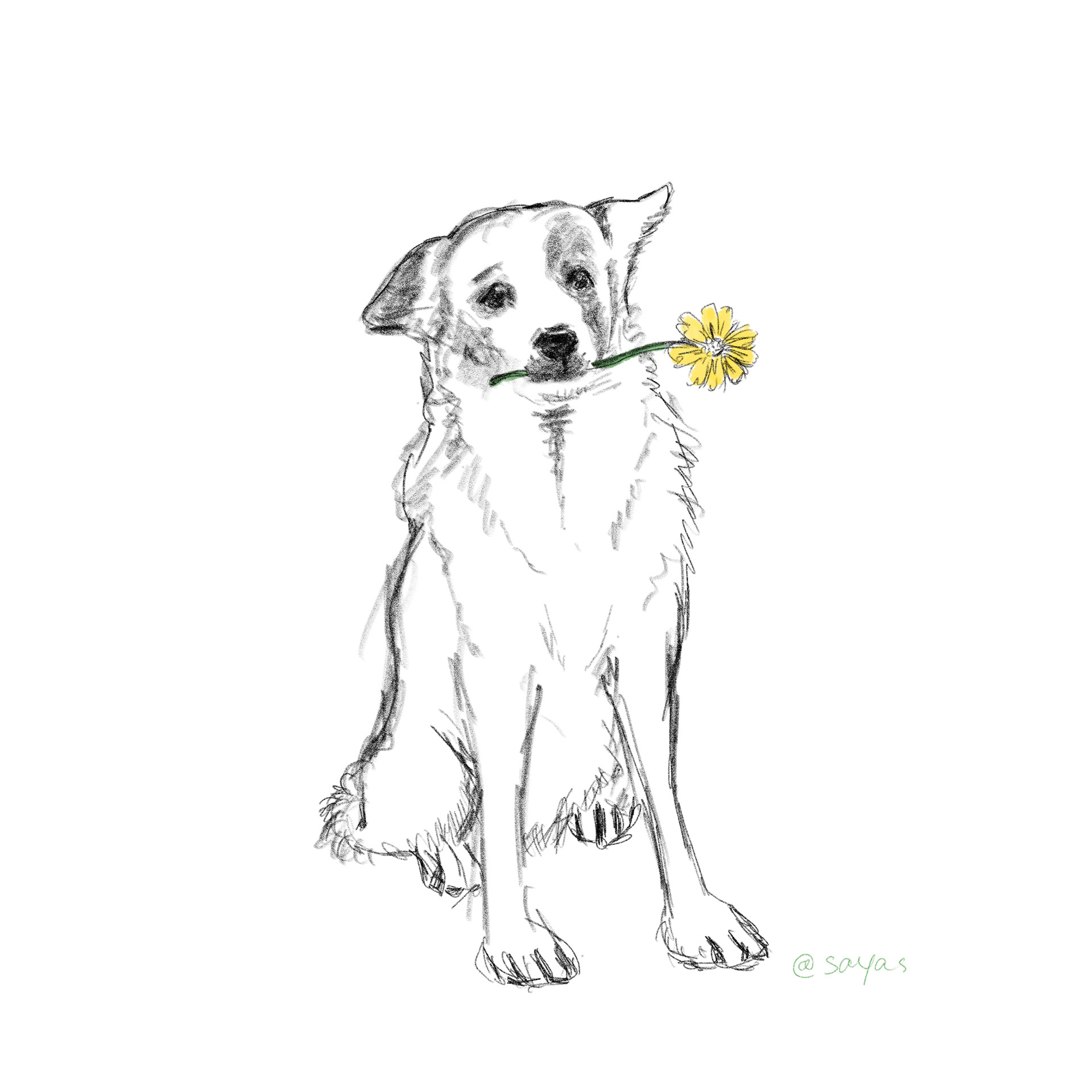 Nipper