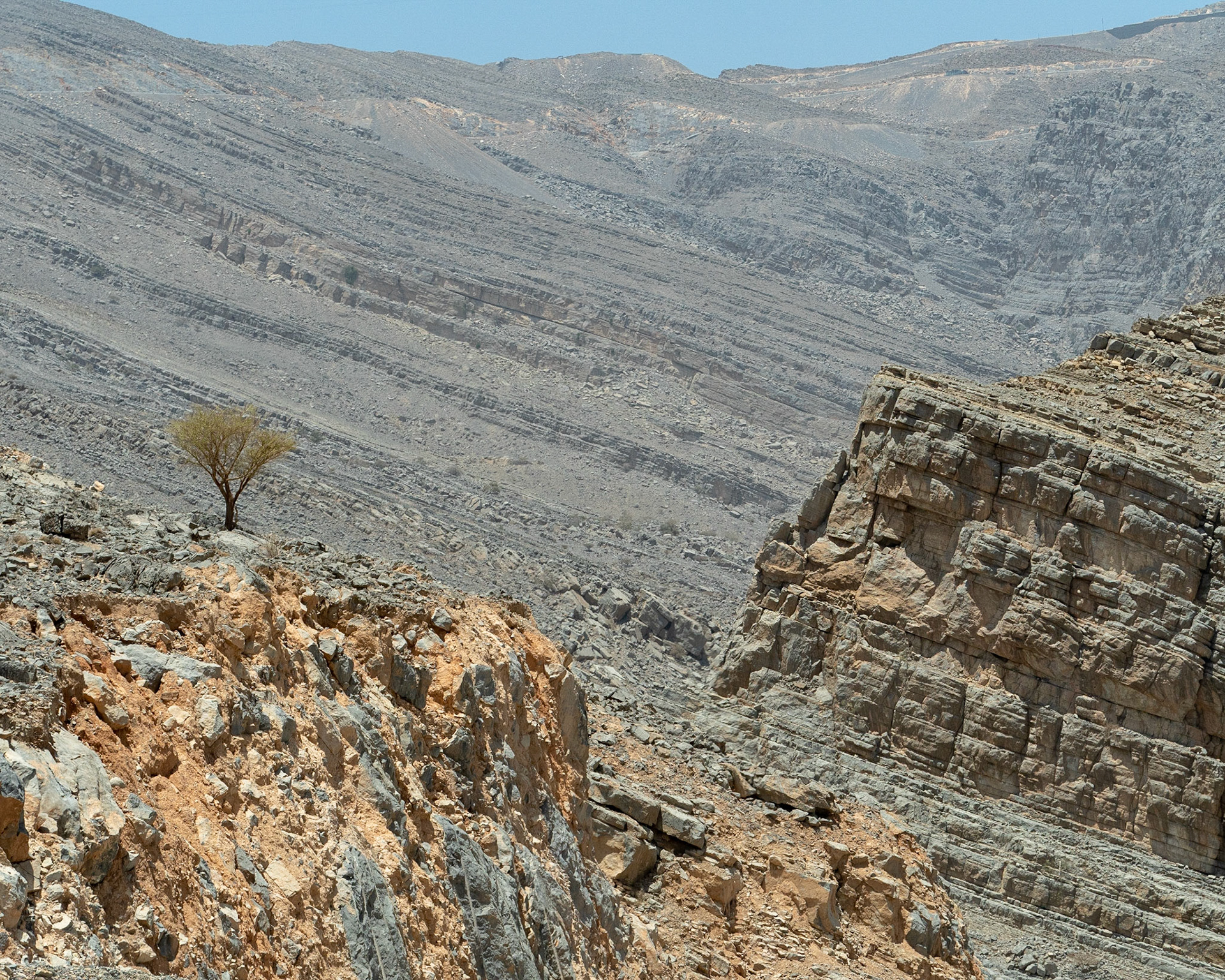 It can't be easy… taking root in rocky, unhelpful soil. 

But courage arises in the harshest of conditions.

This tree stands tall, despite the odds. And it makes such a strong statement, of courage against all odds.