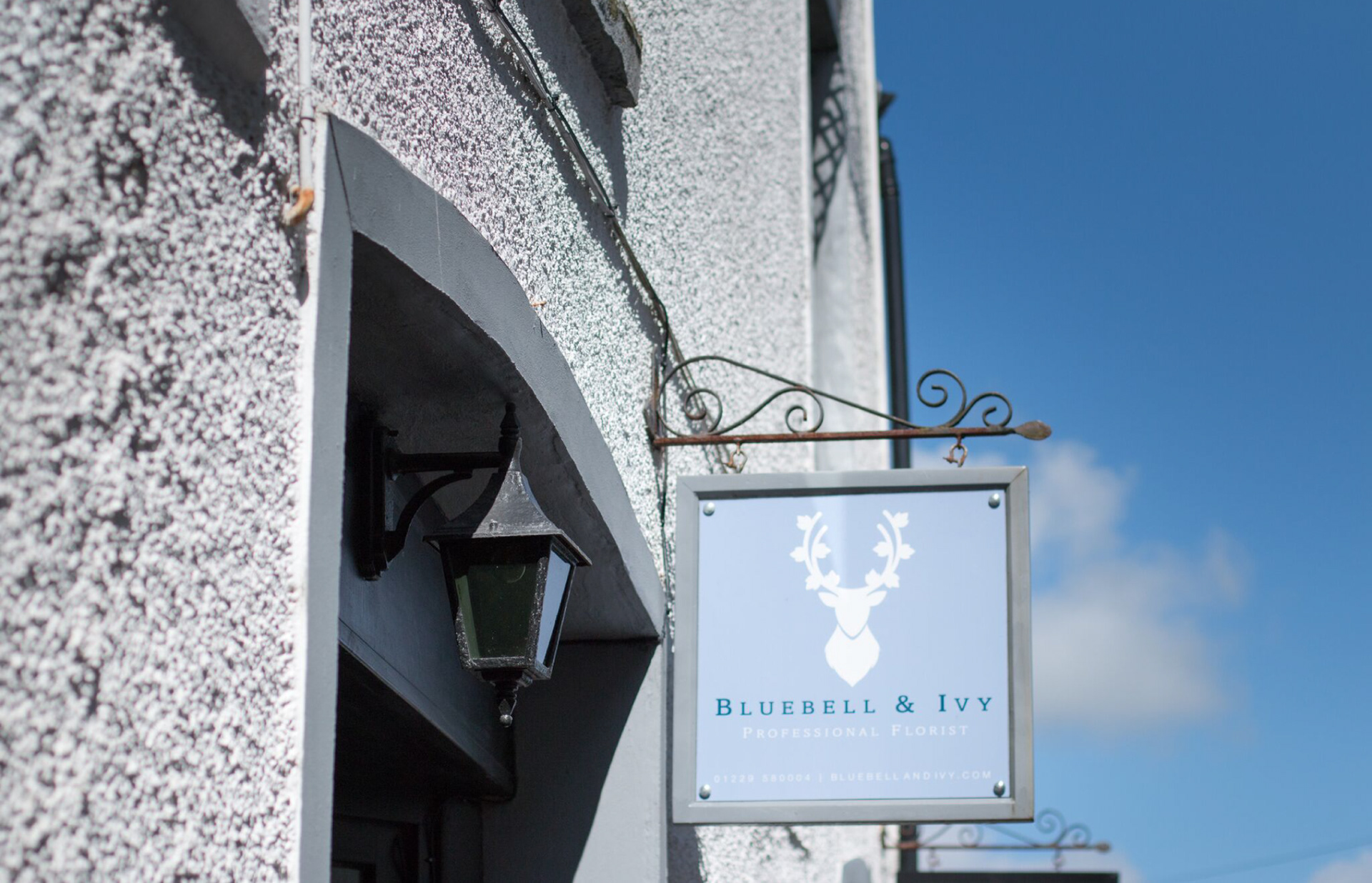 bluebell and ivy signage