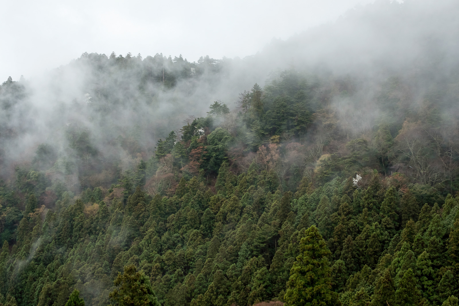 Myôzai district mountains
