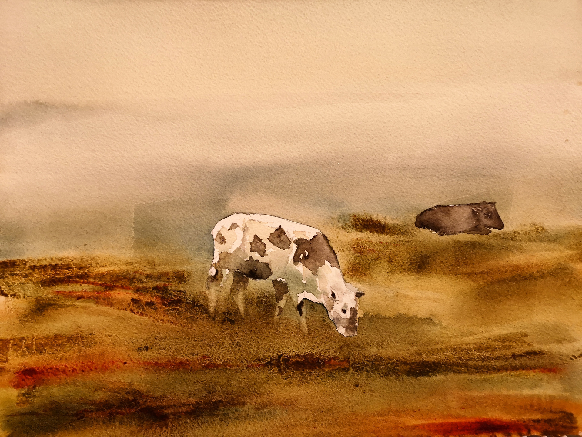 cow painted in watercolour