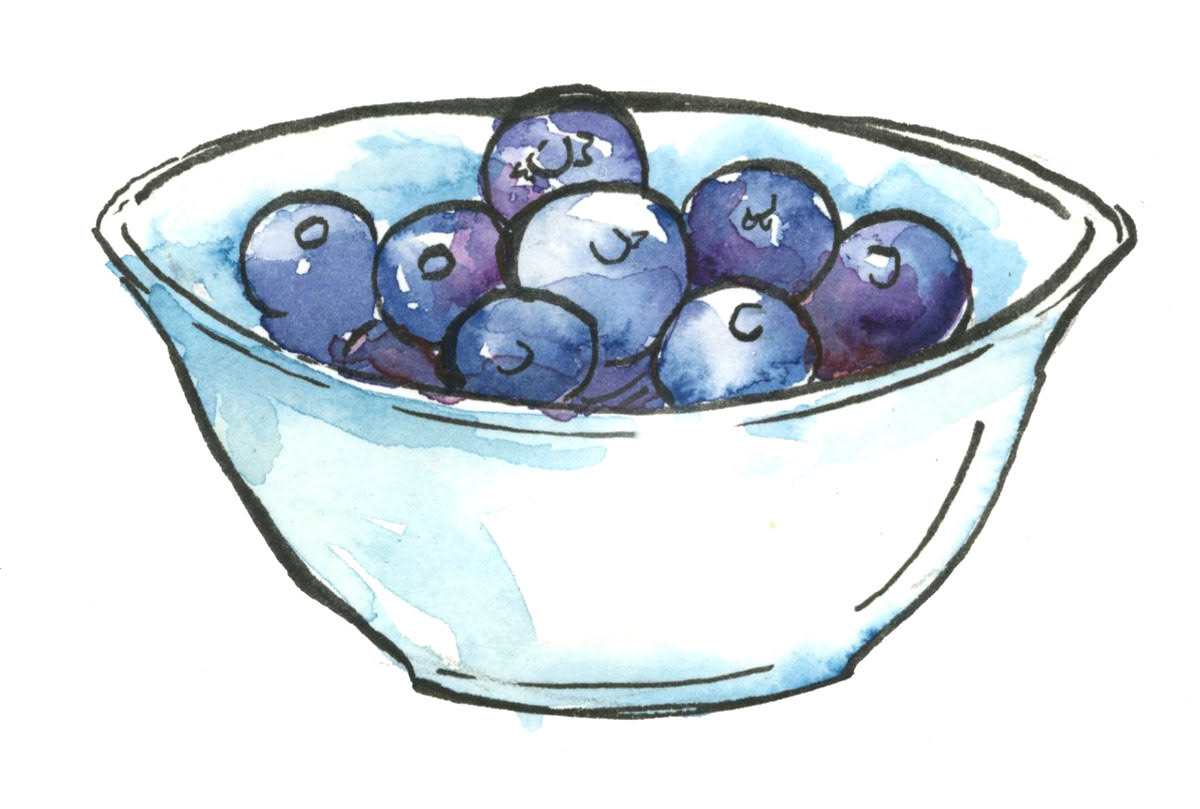 blueberries illustration Jamie Hansen