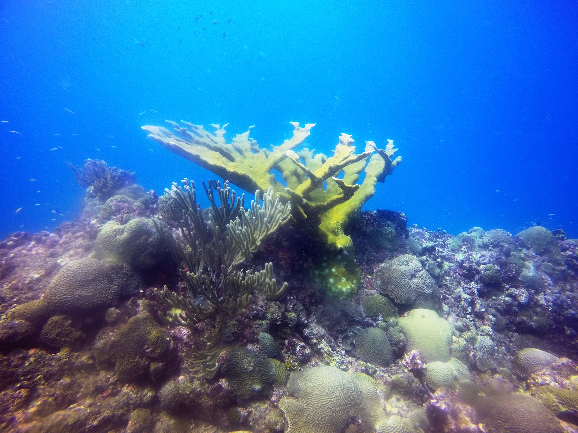DCIM\100GOPRO\GOPR8737.