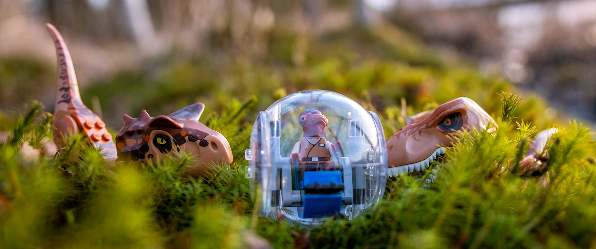 23/52 - Dino Surprise