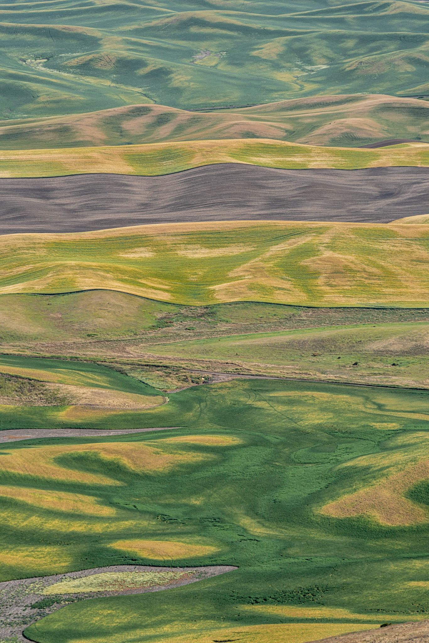 Steptoe Butte WA