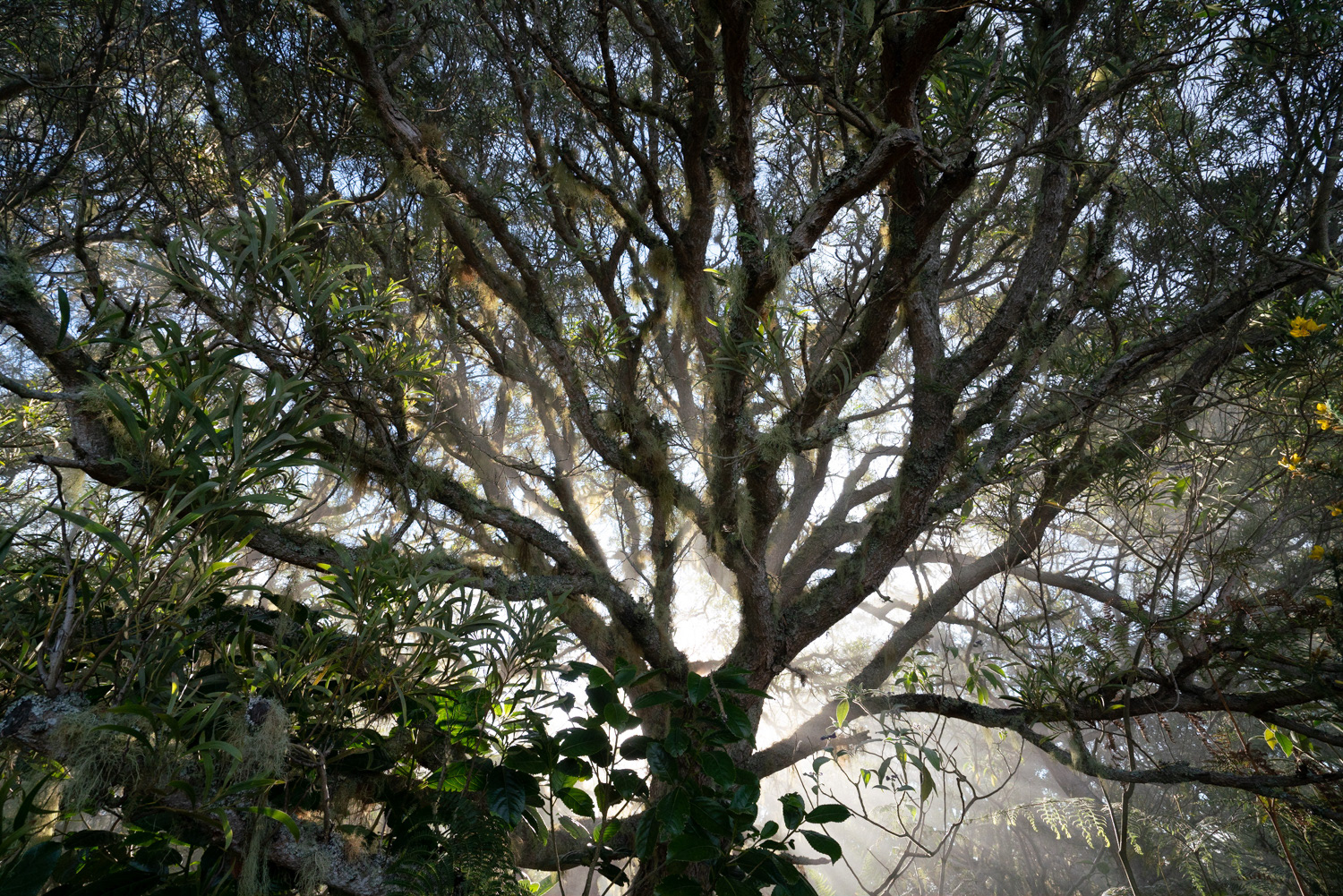 La Réunion