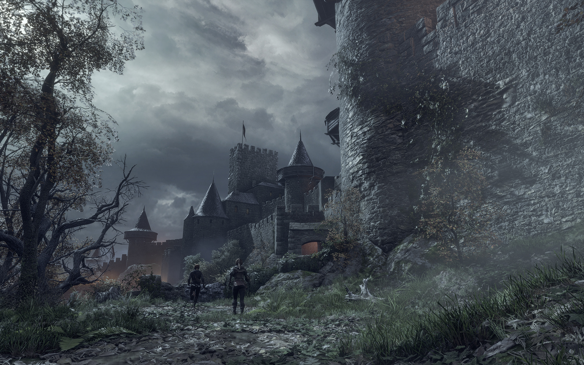 Frans Bouma - A Plague Tale: Innocence