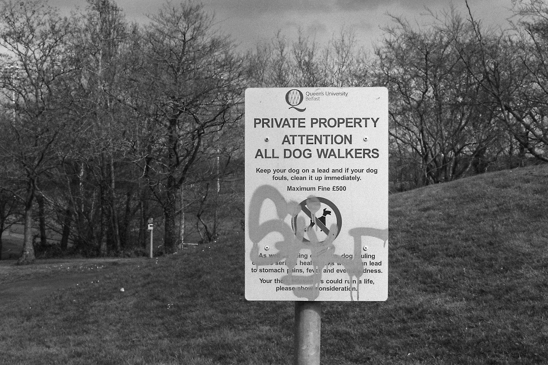 Not sure anyone keeps their dog on the lead here.1