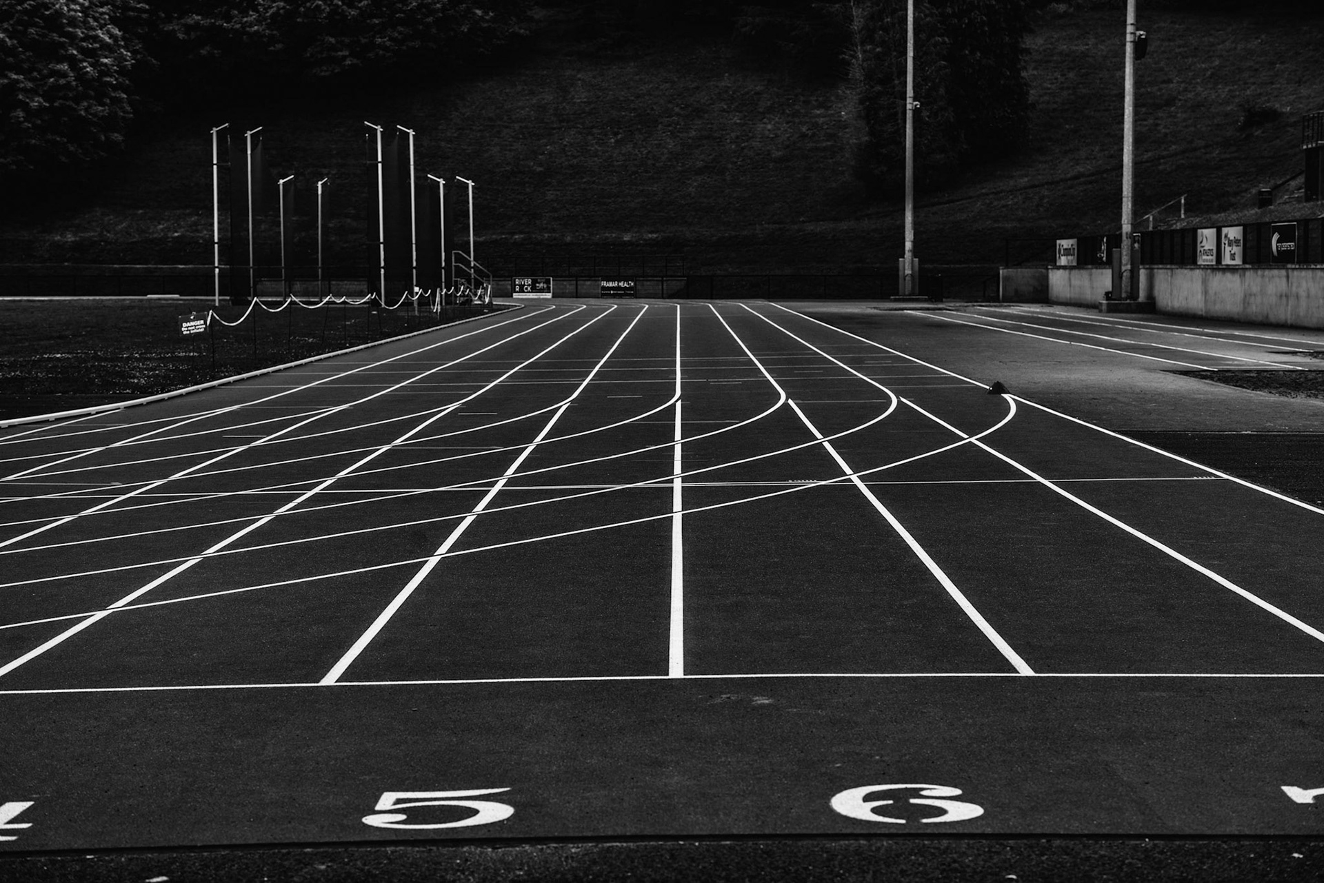 Anyone up for a race?